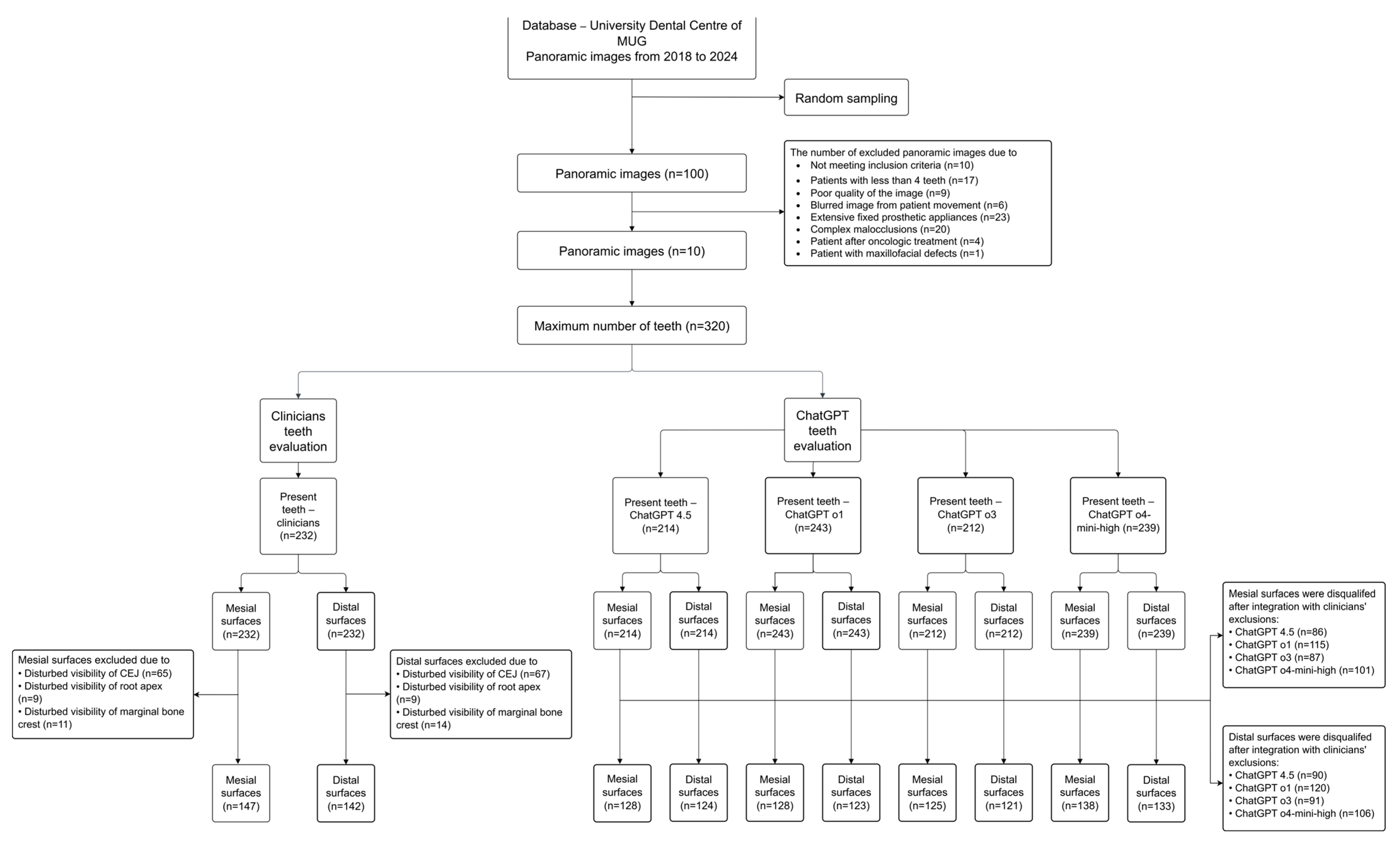 Diagnostics 15 01851 g001