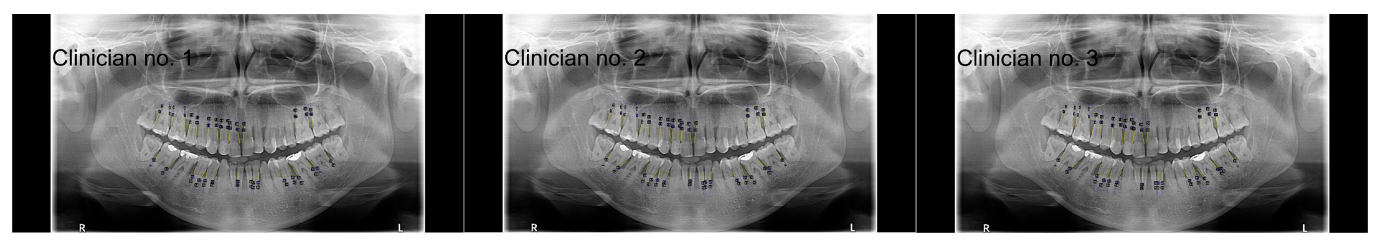 Diagnostics 15 01851 g002