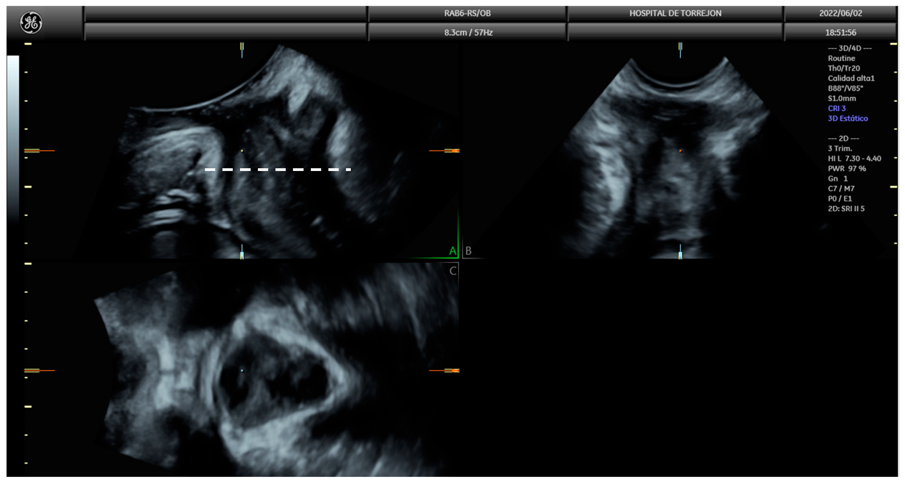 Diagnostics 15 01853 g001