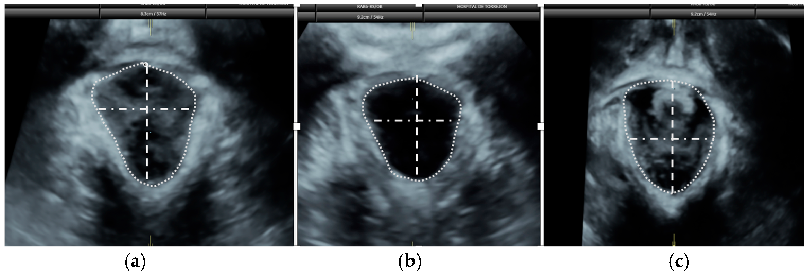 Diagnostics 15 01853 g002