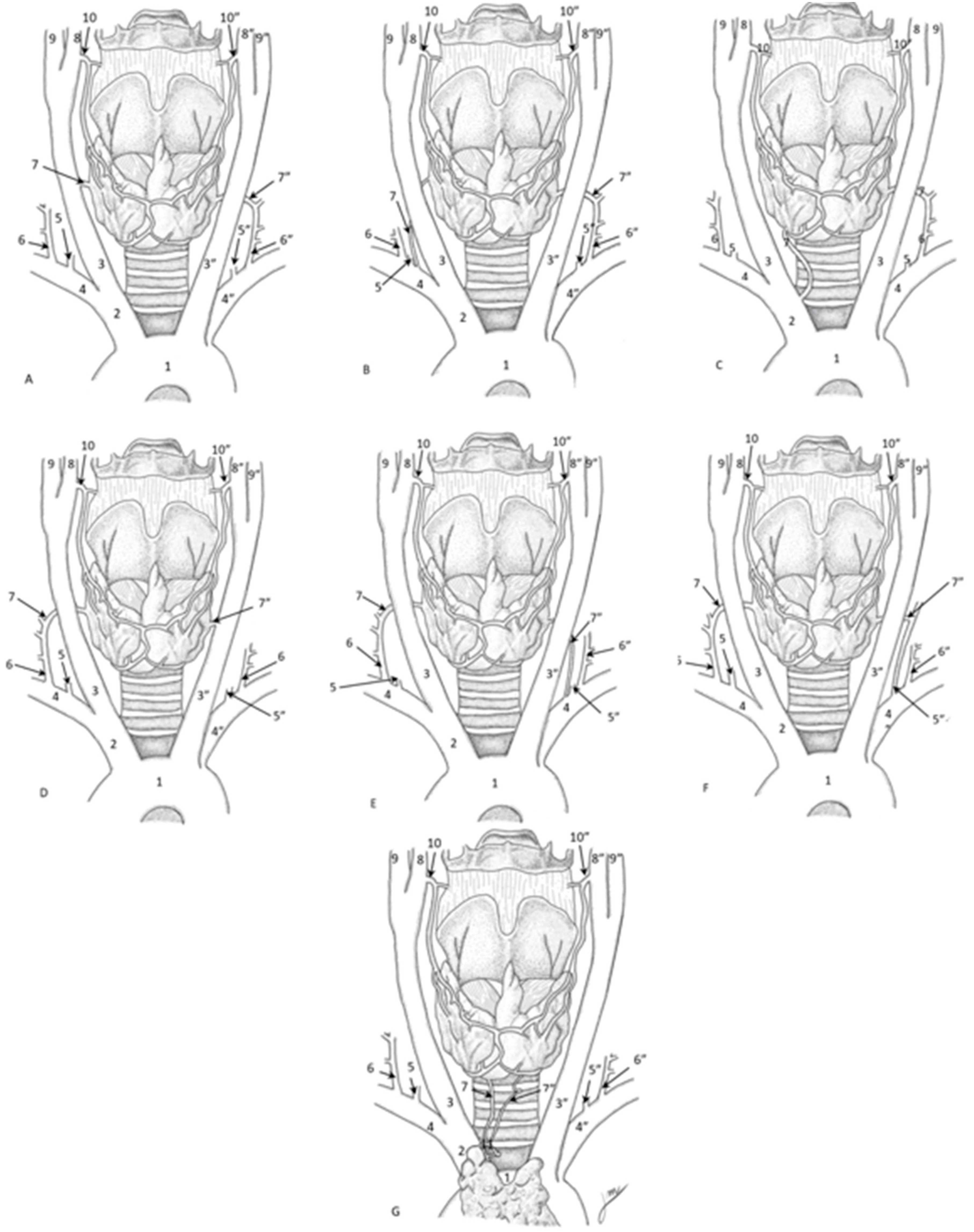 Diagnostics 15 01858 g003