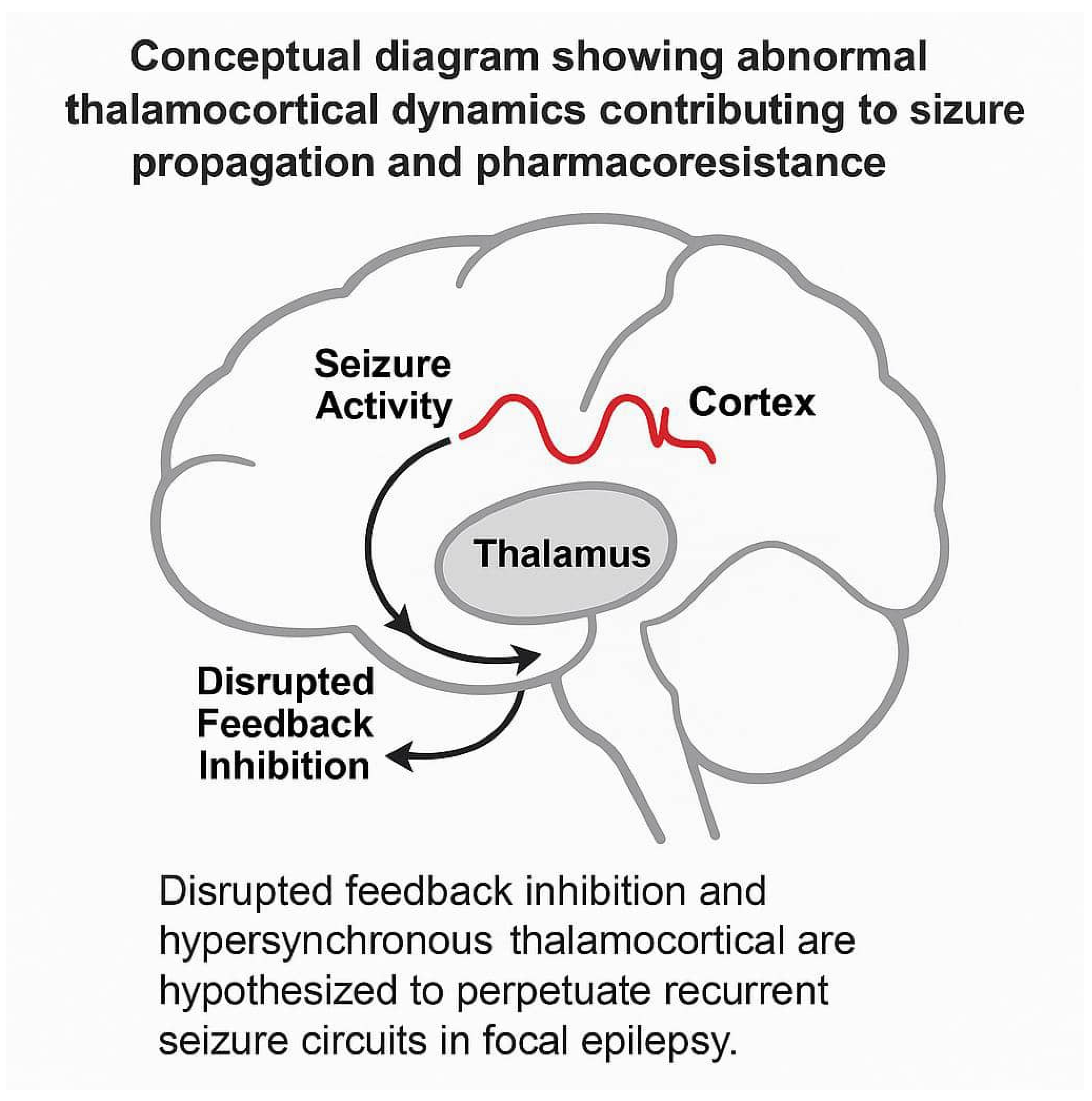 Diagnostics 15 01865 g001