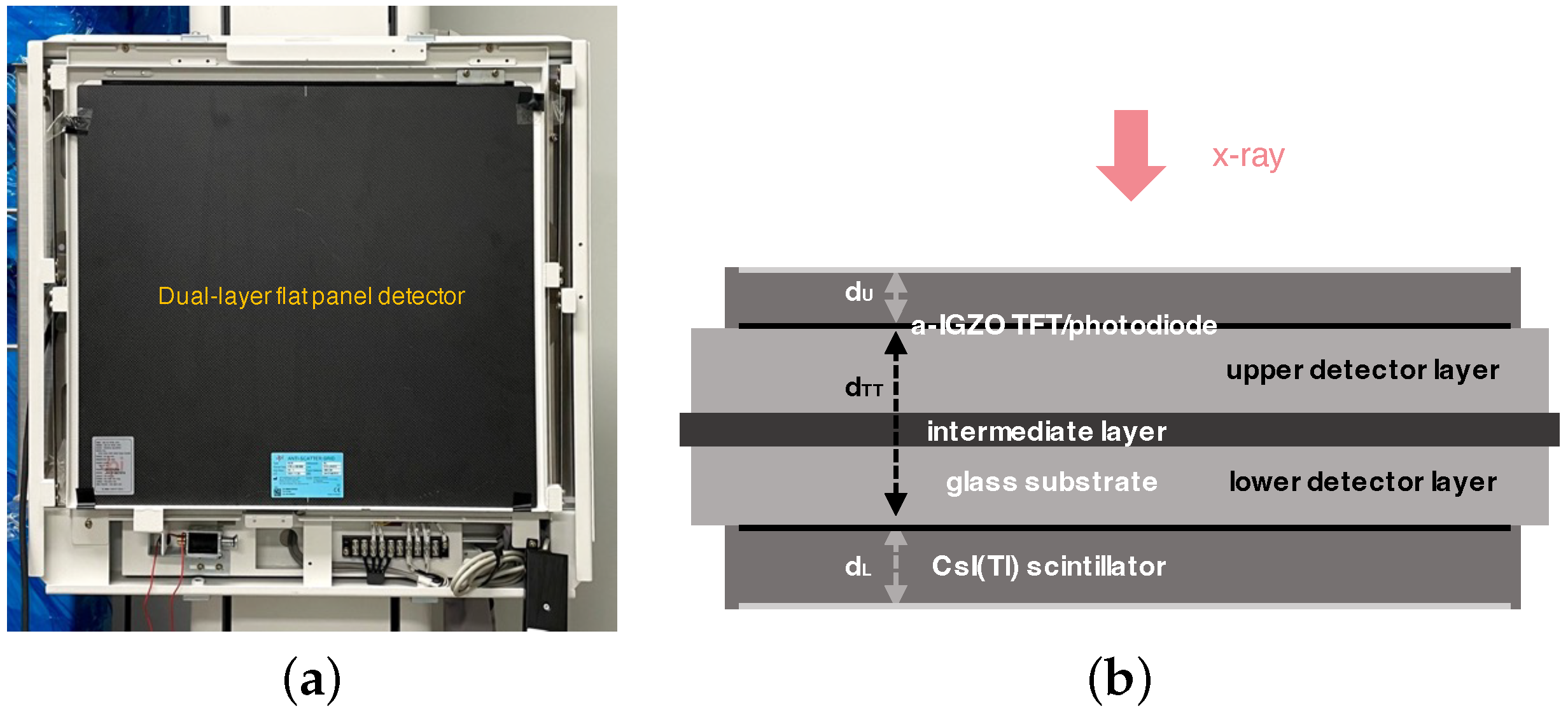 Diagnostics 15 01889 g001