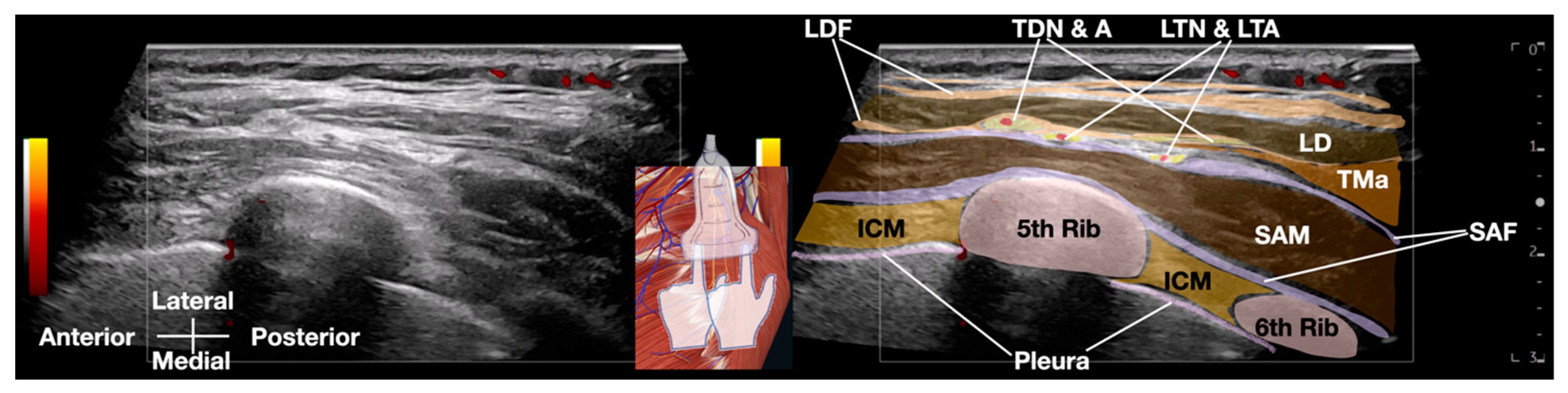 Diagnostics 15 01891 g003