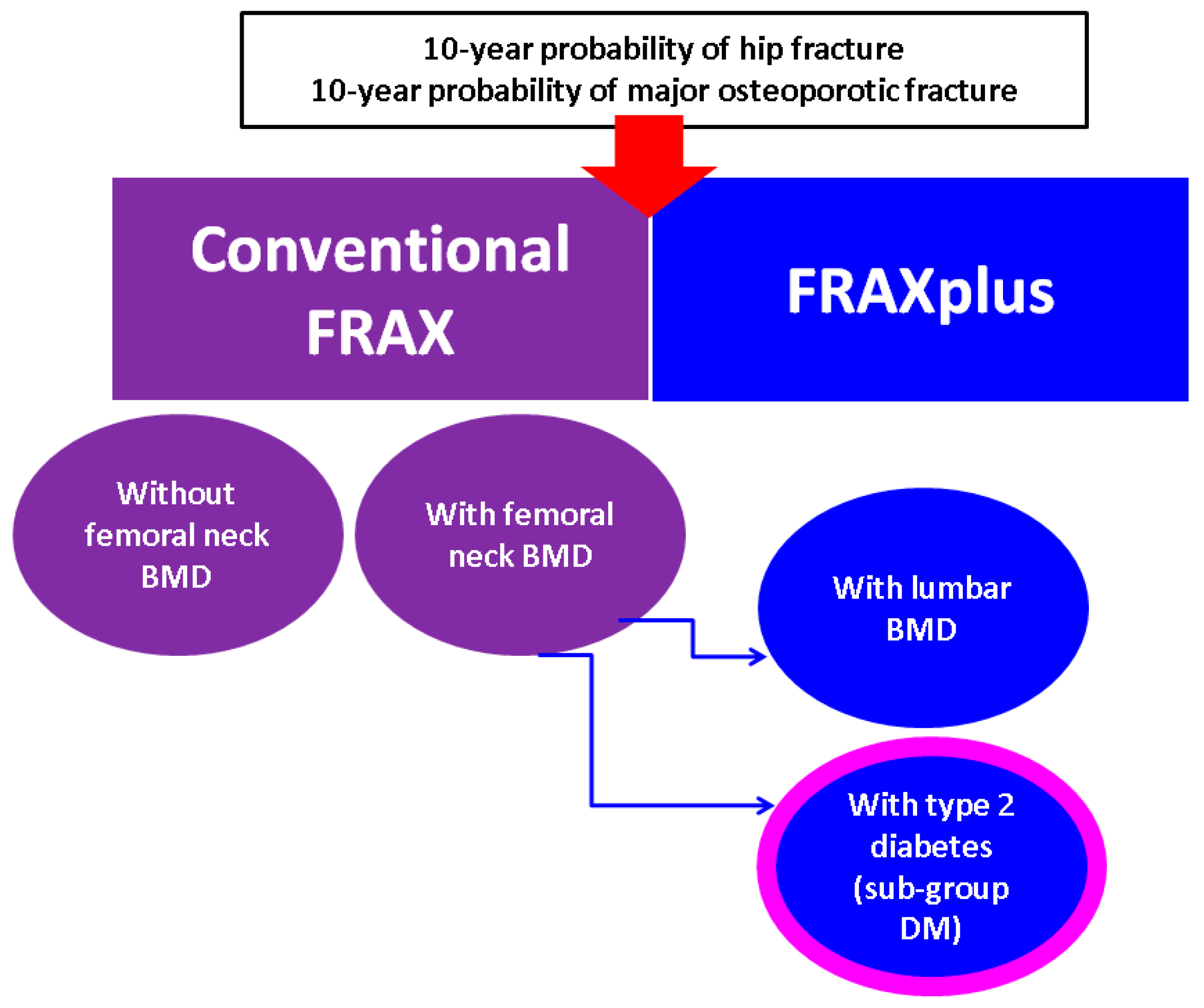 Diagnostics 15 01899 g002
