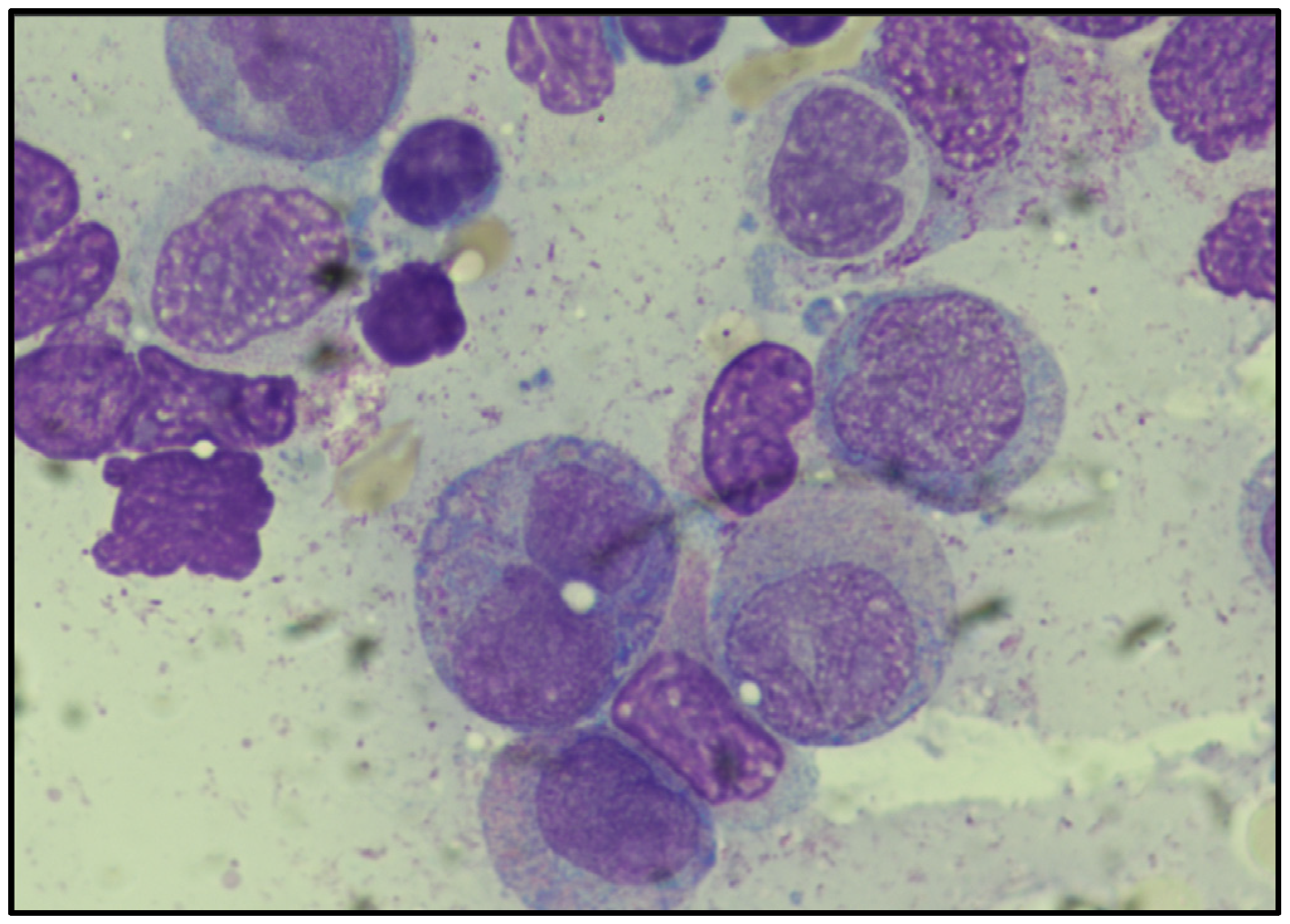 Diagnostics 15 01901 g001