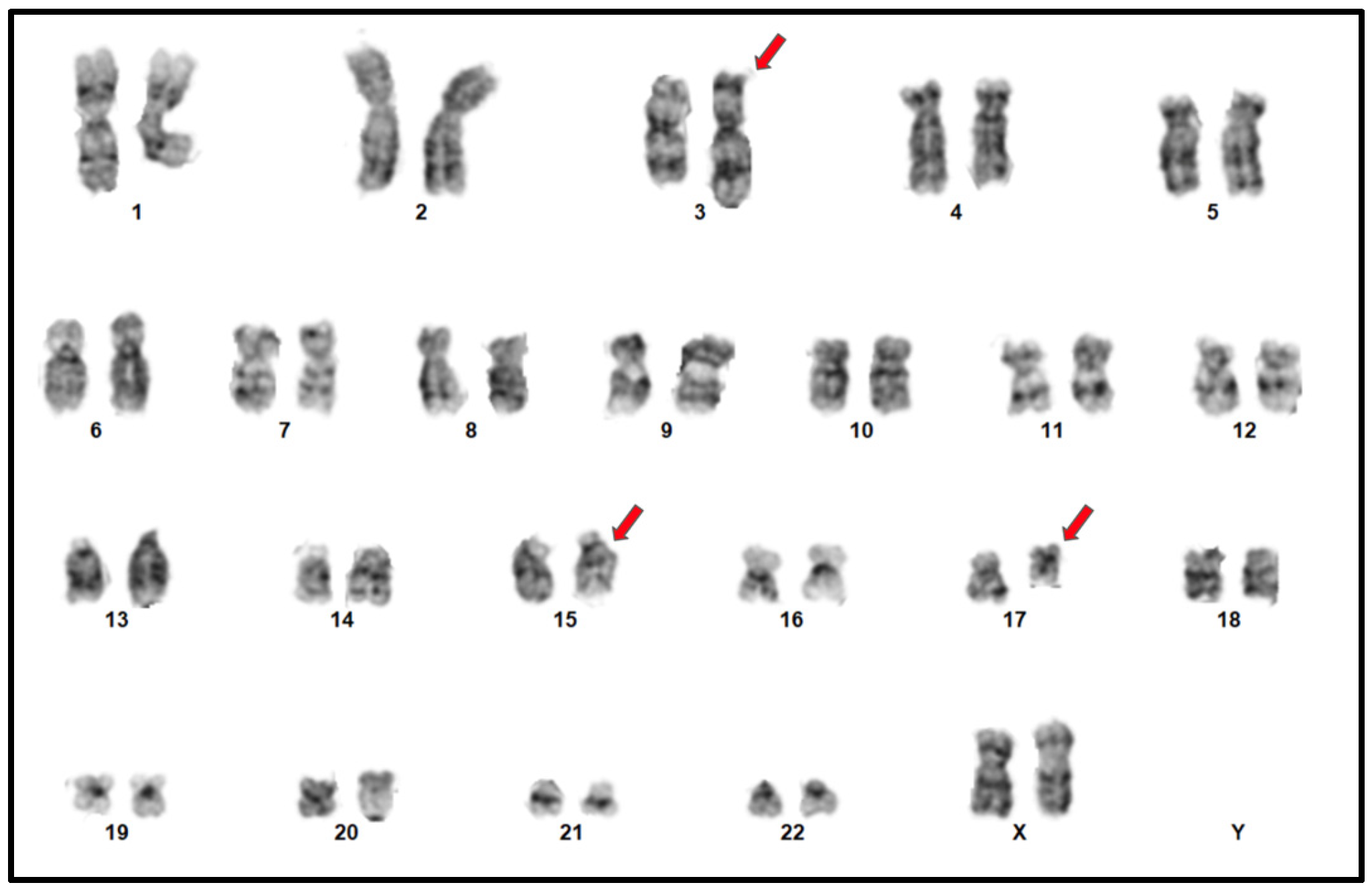 Diagnostics 15 01901 g002
