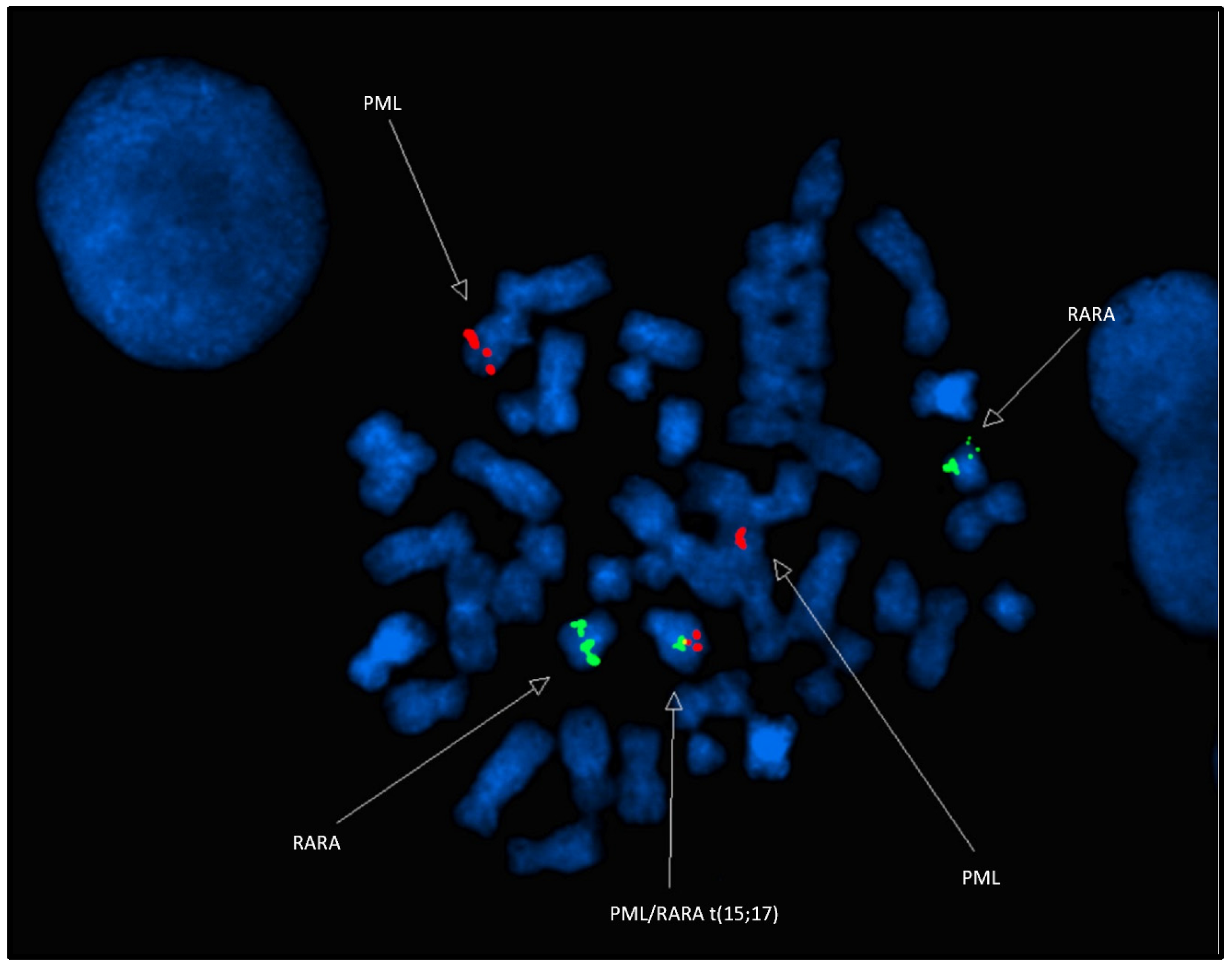 Diagnostics 15 01901 g003