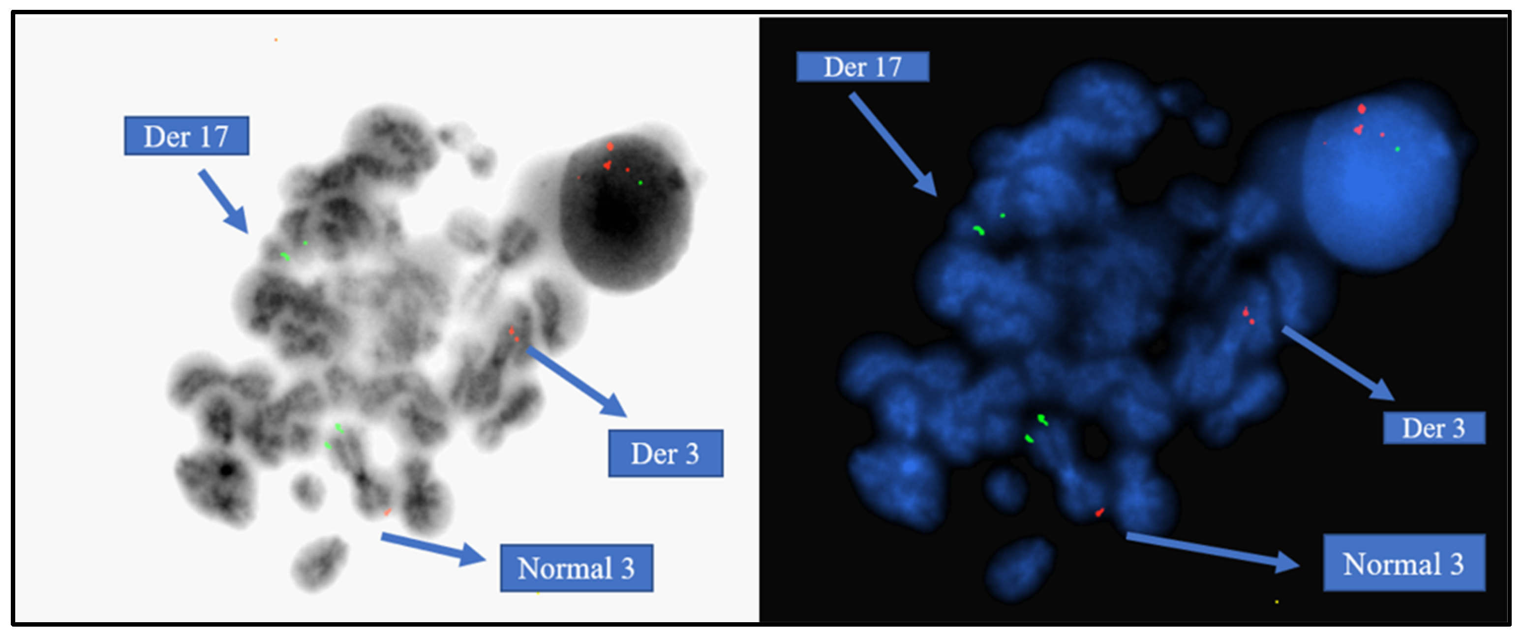 Diagnostics 15 01901 g004