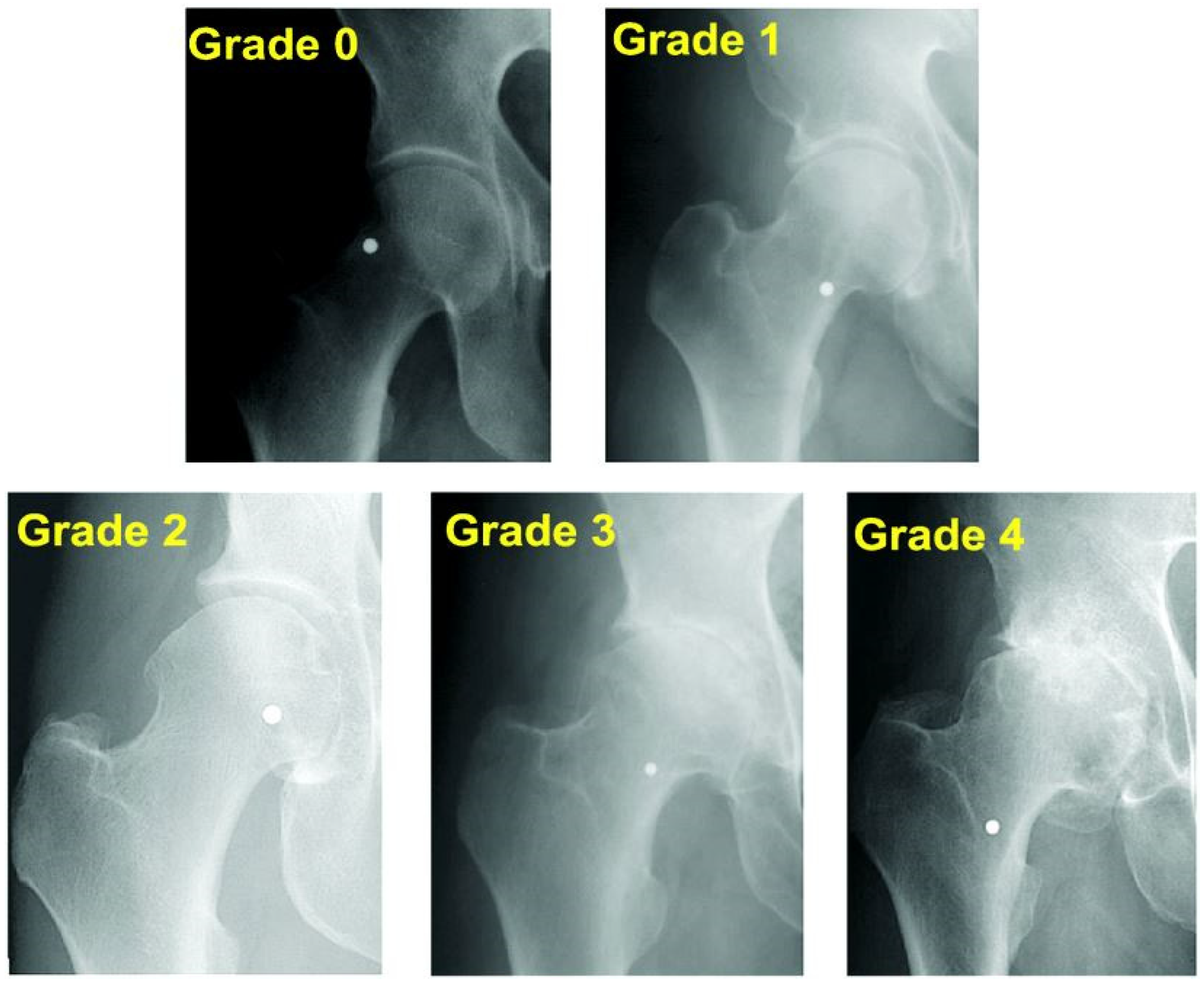 Diagnostics 15 01932 g002