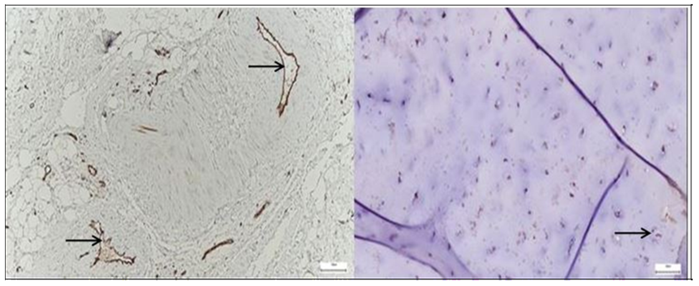 Diagnostics 15 01932 g005