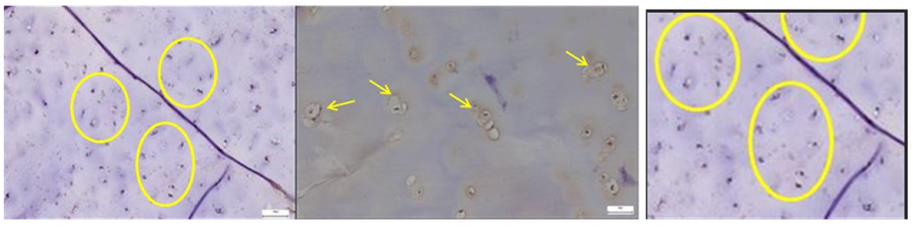 Diagnostics 15 01932 g011