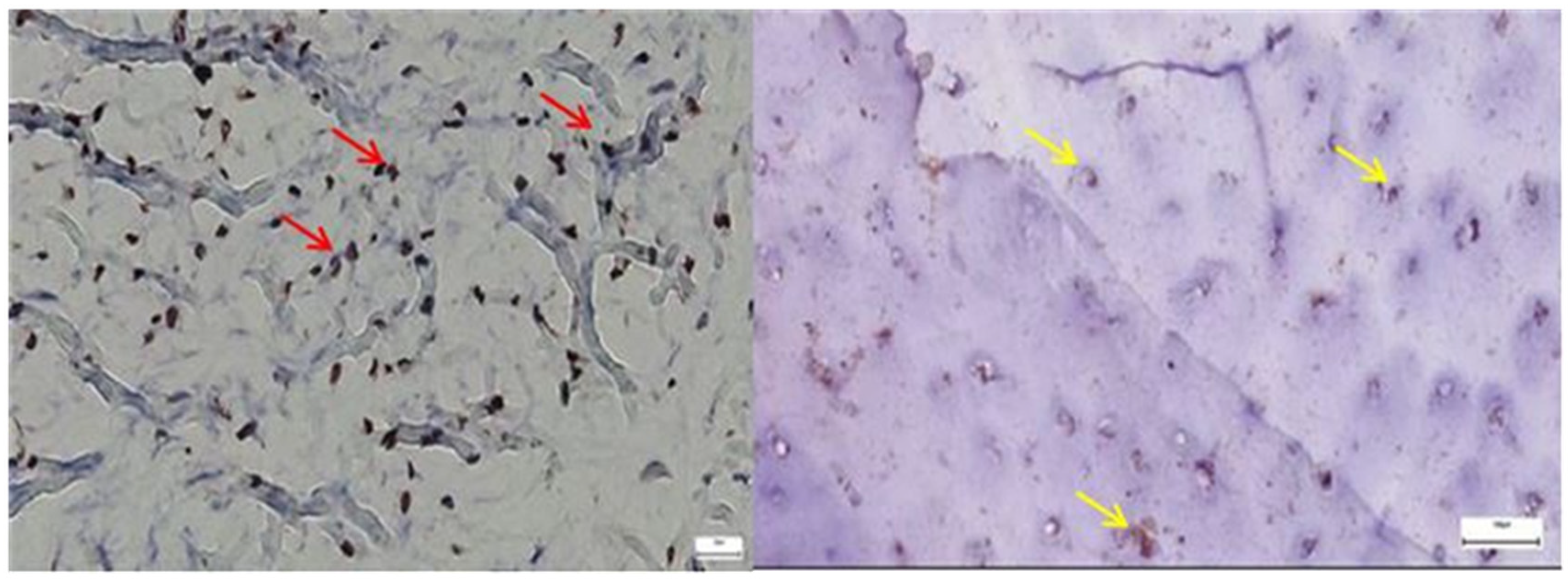 Diagnostics 15 01932 g012