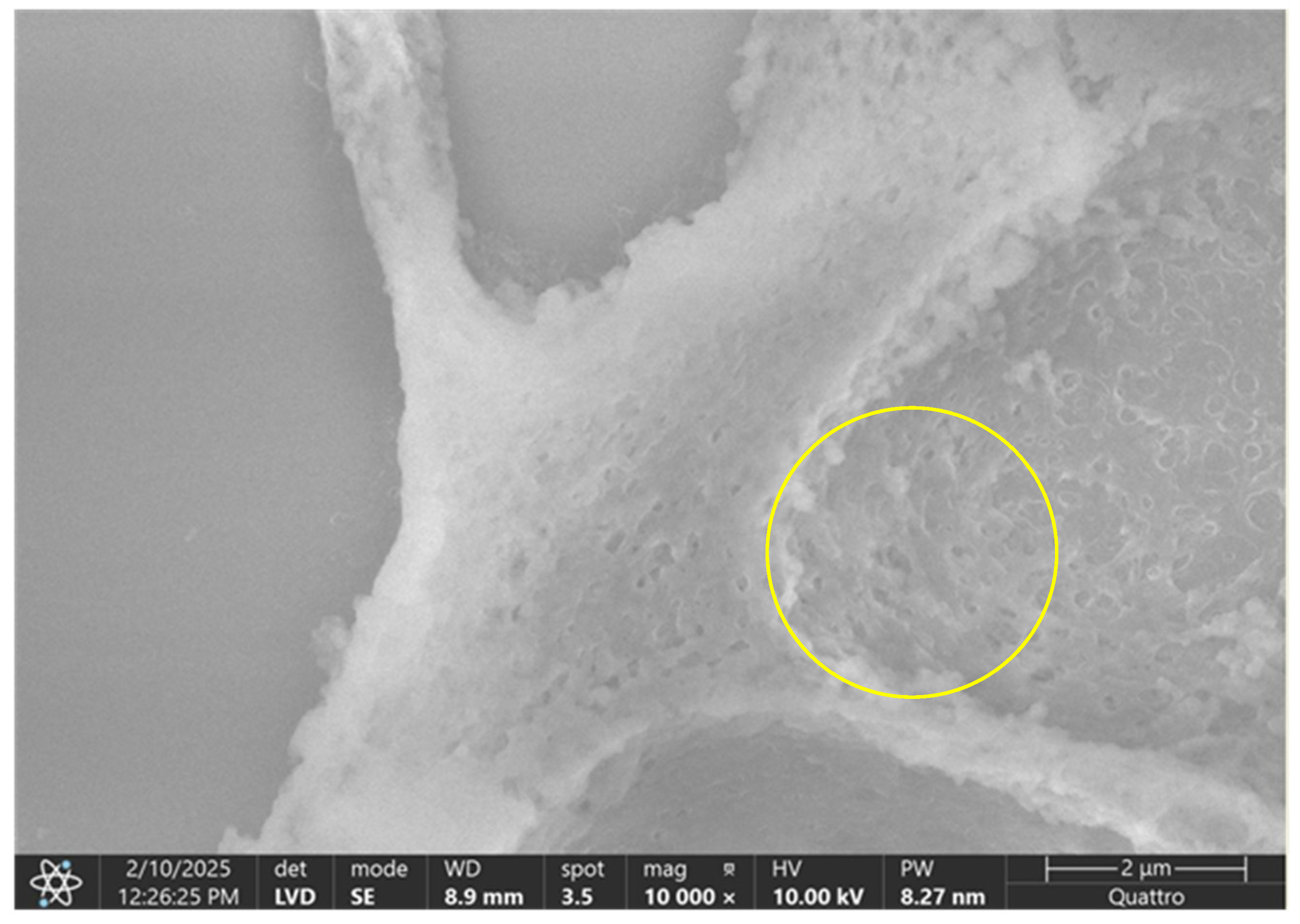 Diagnostics 15 01932 g016