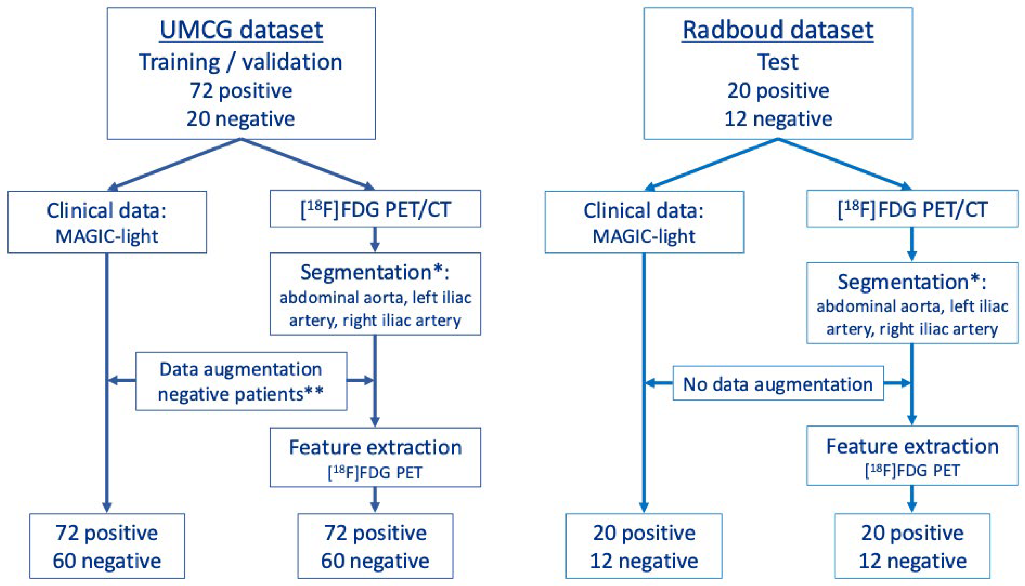 Diagnostics 15 01944 g001