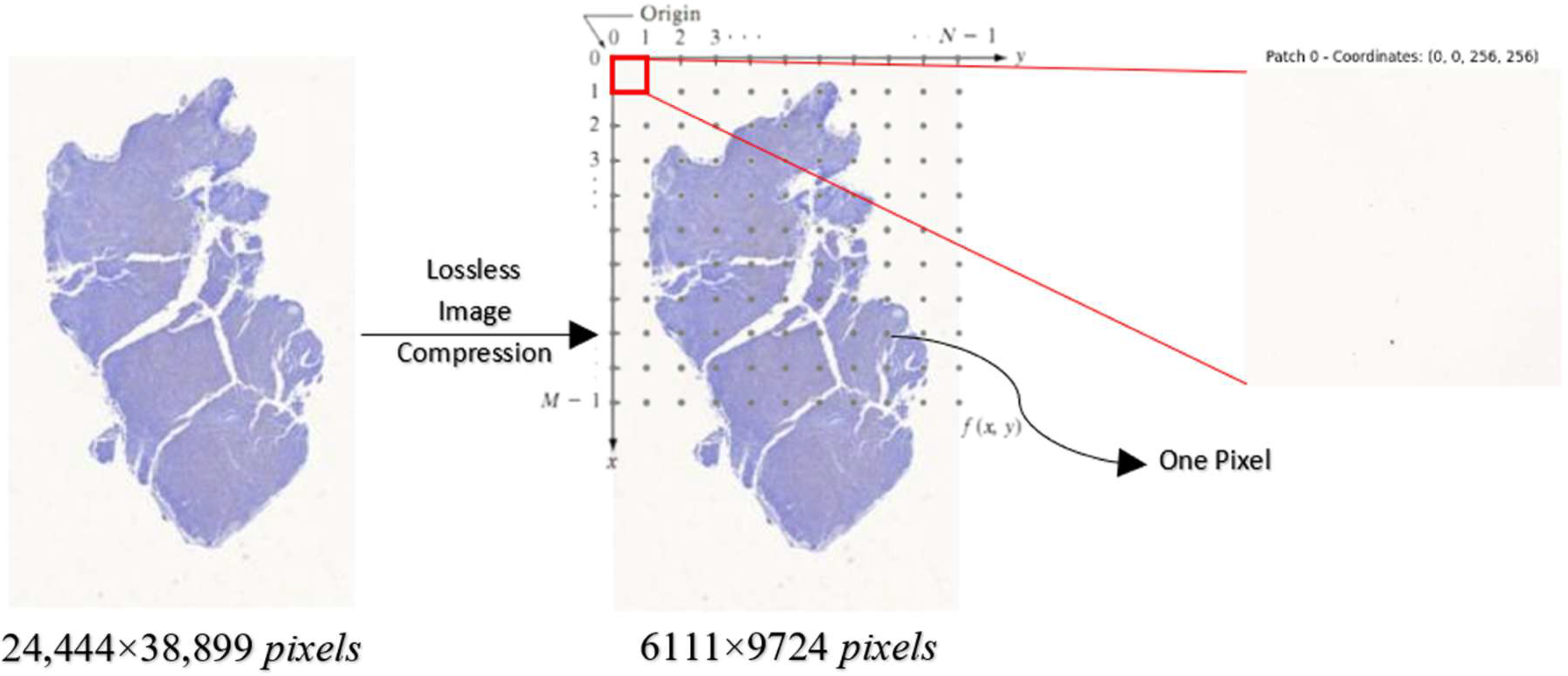 Diagnostics 15 01958 g002