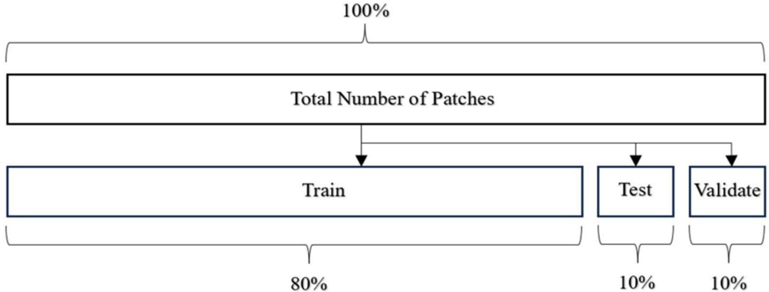 Diagnostics 15 01958 g003