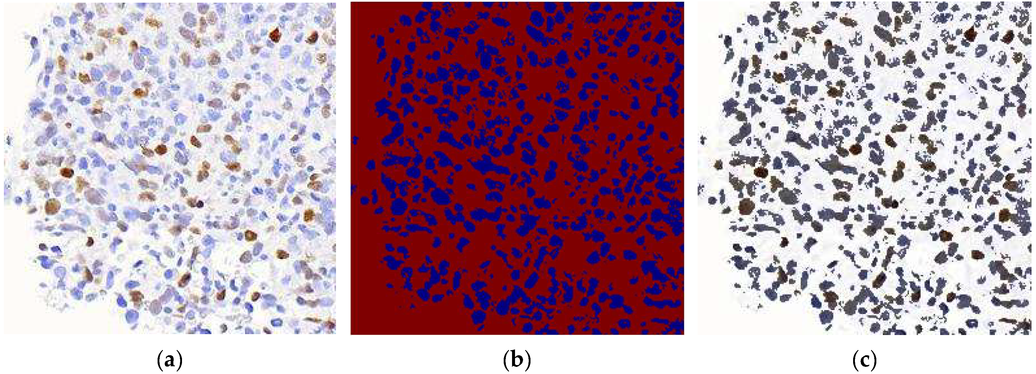 Diagnostics 15 01958 g005