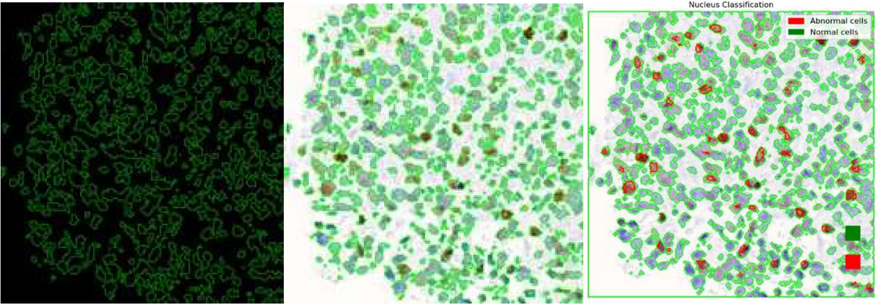 Diagnostics 15 01958 g013