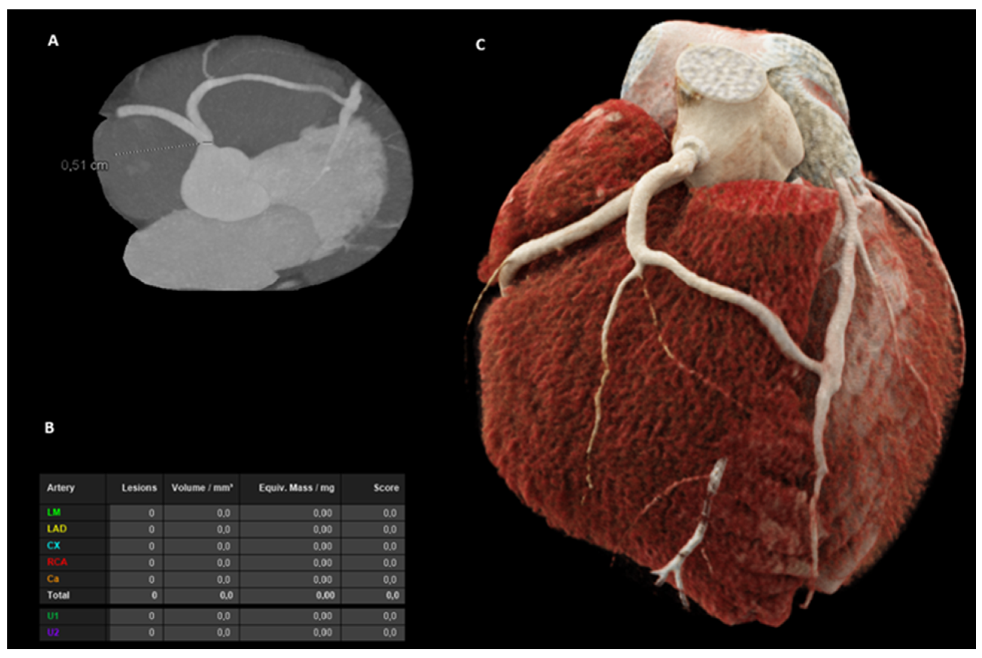 Diagnostics 15 01971 g002