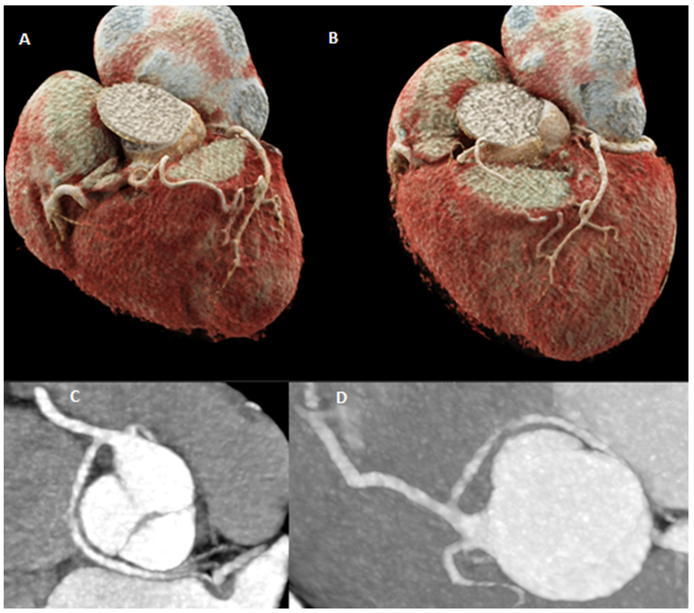 Diagnostics 15 01971 g005