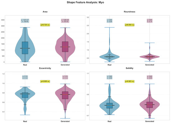 Diffusion Model-Based Augmentation Using Asymmetric Attention