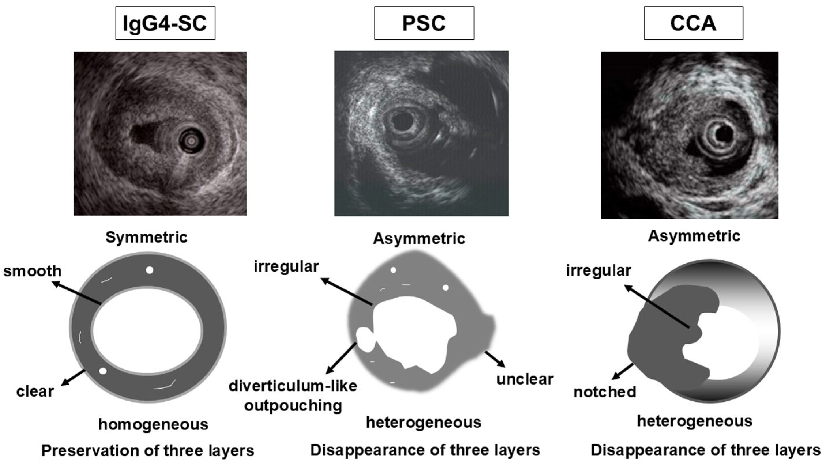 Diagnostics 15 01990 g006