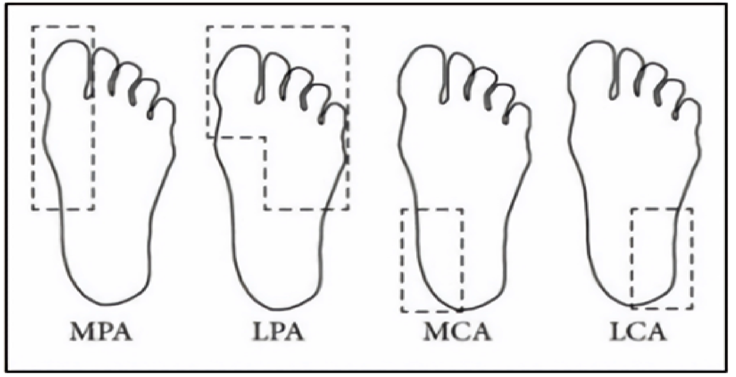 Diagnostics 15 01996 g002