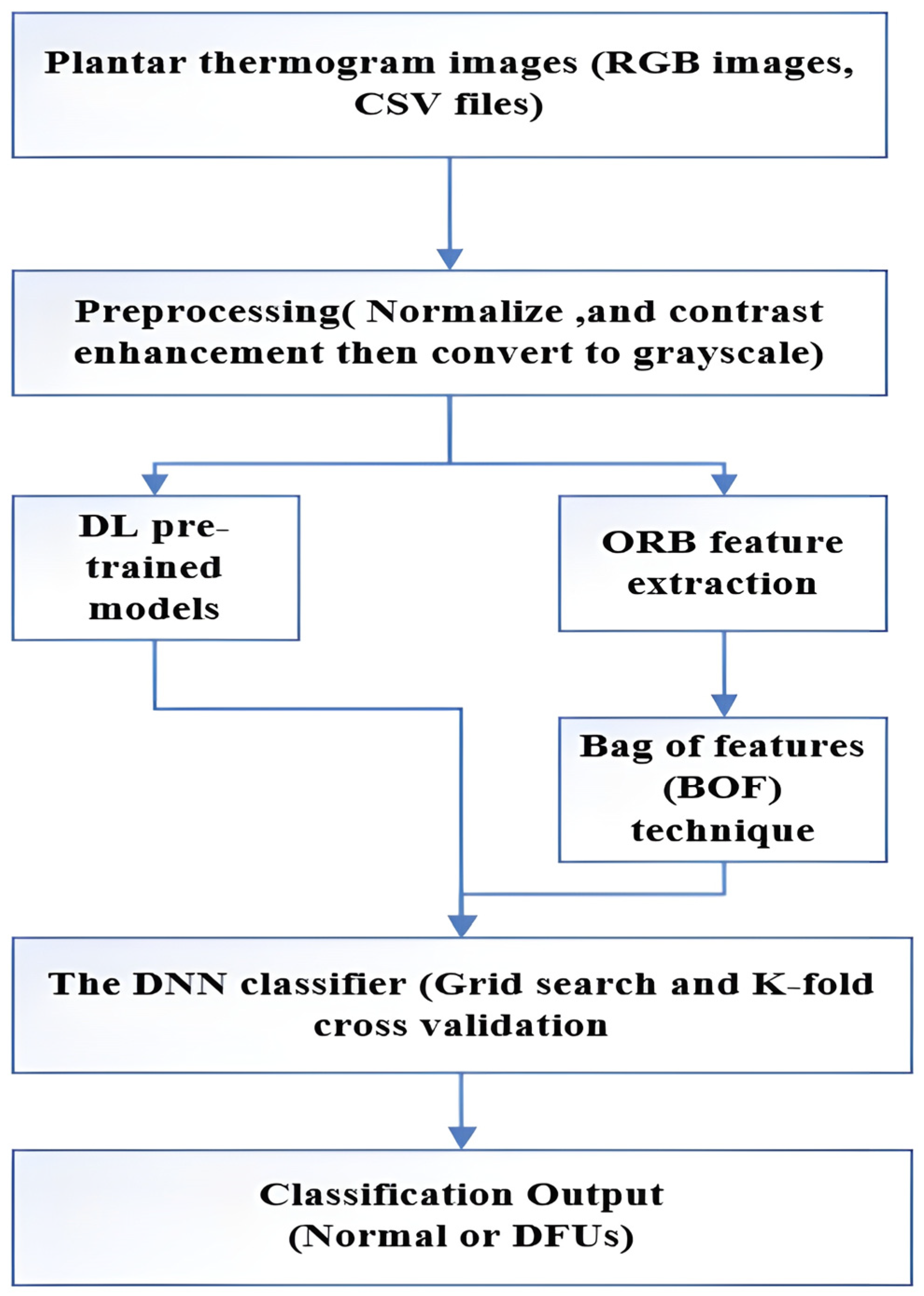 Diagnostics 15 01996 g004
