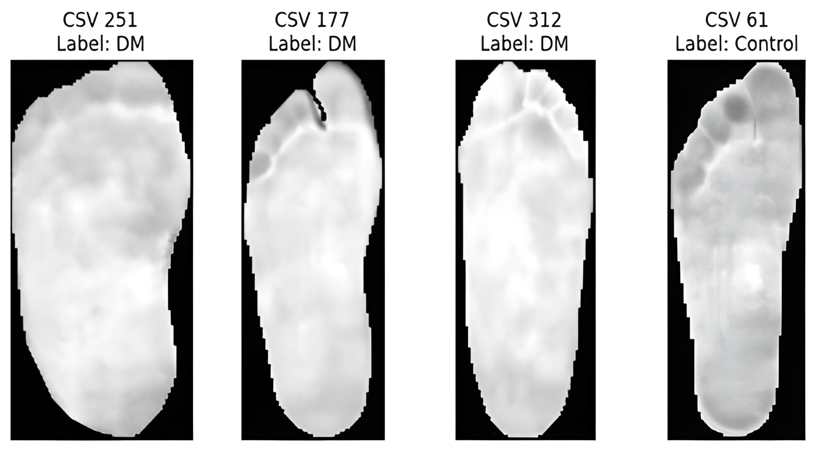 Diagnostics 15 01996 g006