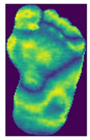 Diagnostics 15 01996 i006