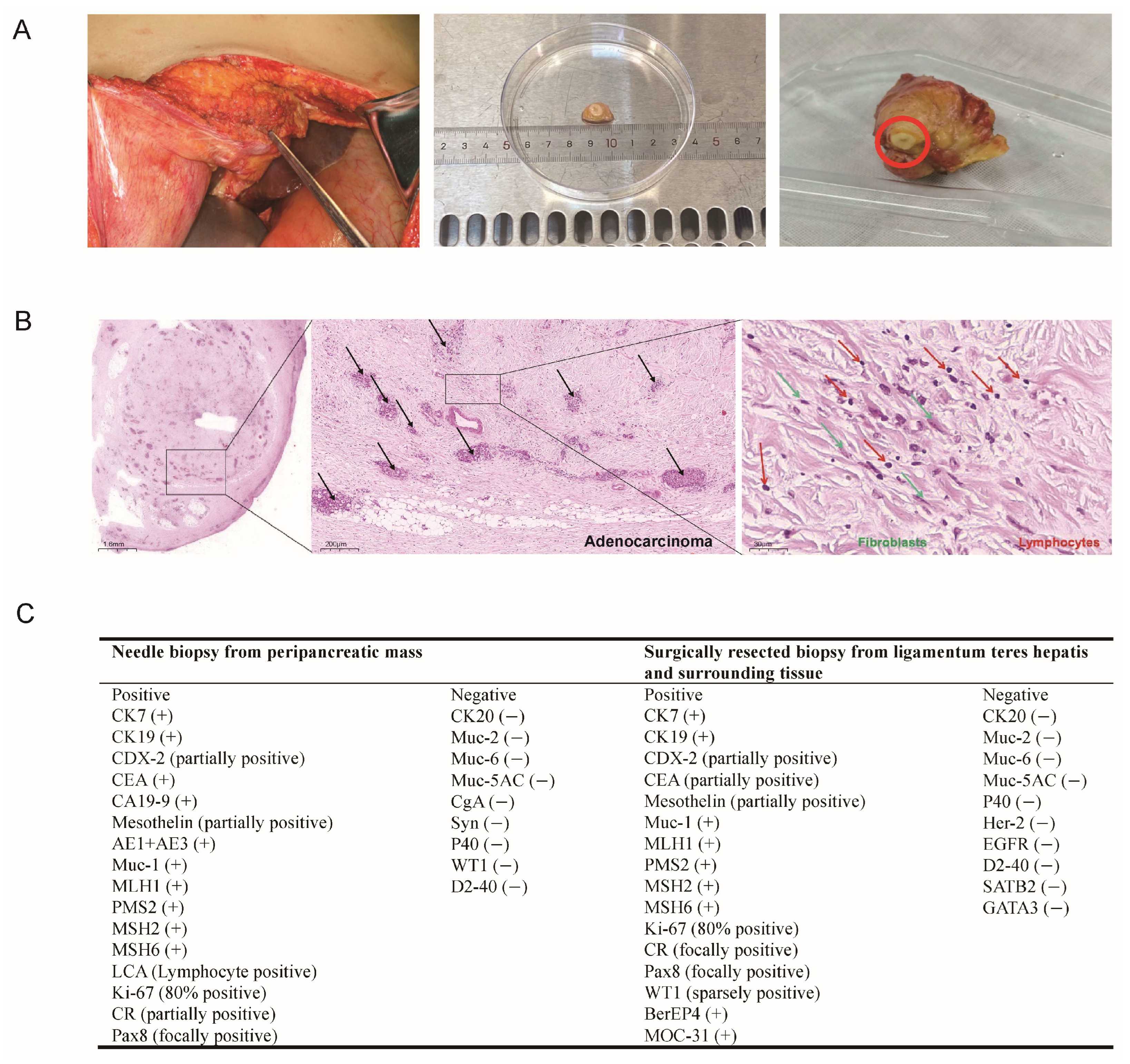 Diagnostics 15 01998 g002
