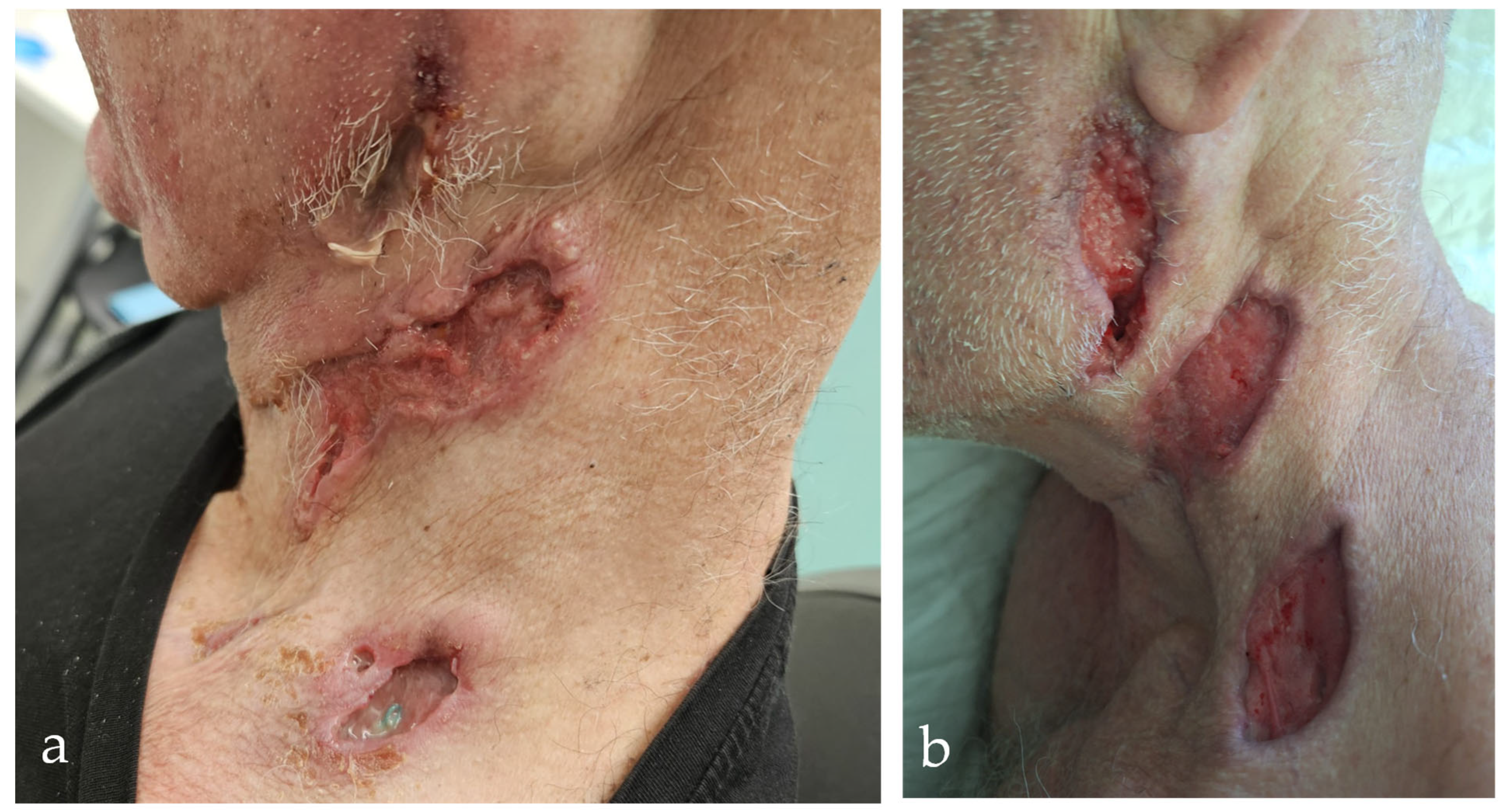 Diagnostics 15 01999 g001 Diagnostics 15 01999 g001