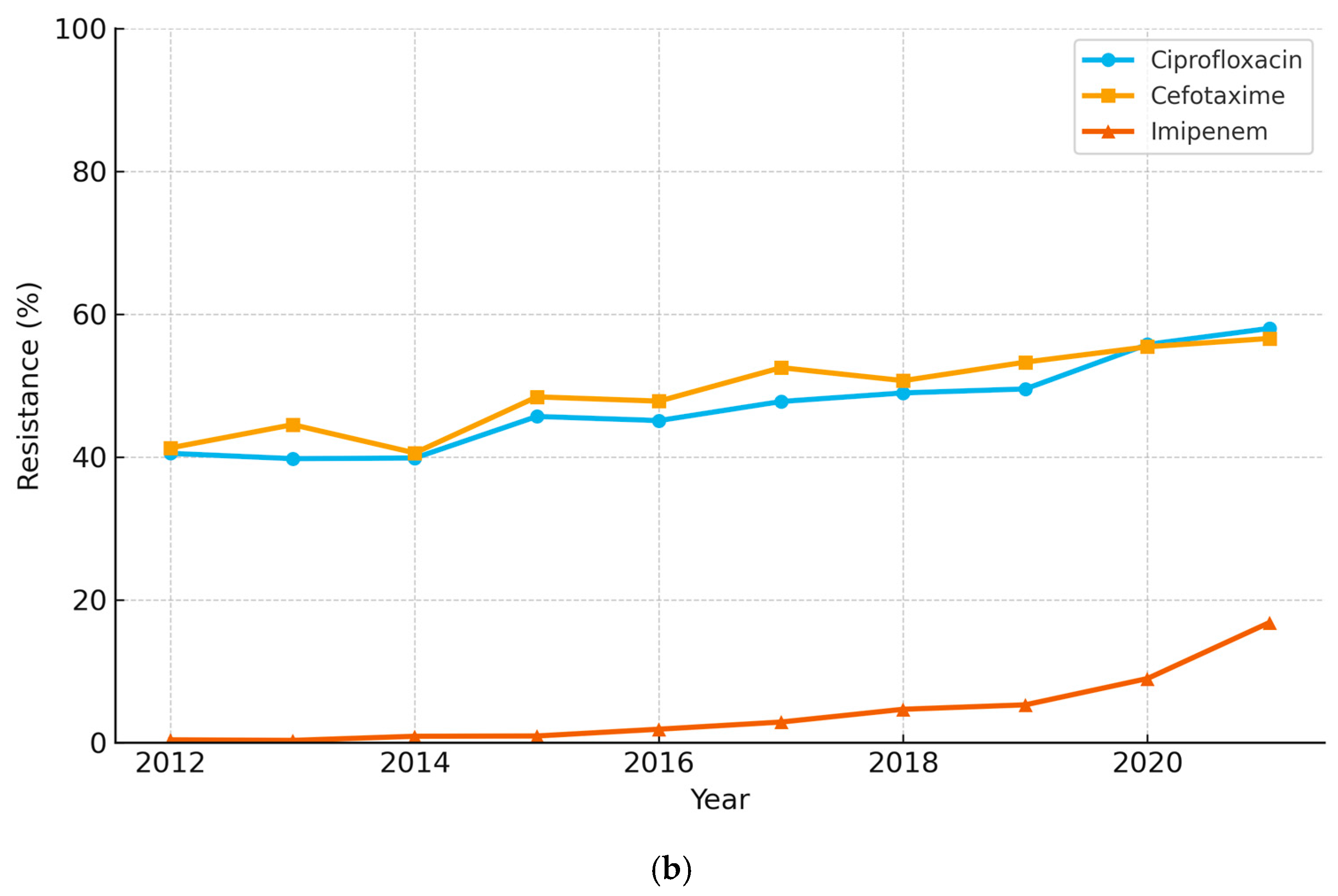 Diagnostics 15 02004 g001b Diagnostics 15 02004 g001b