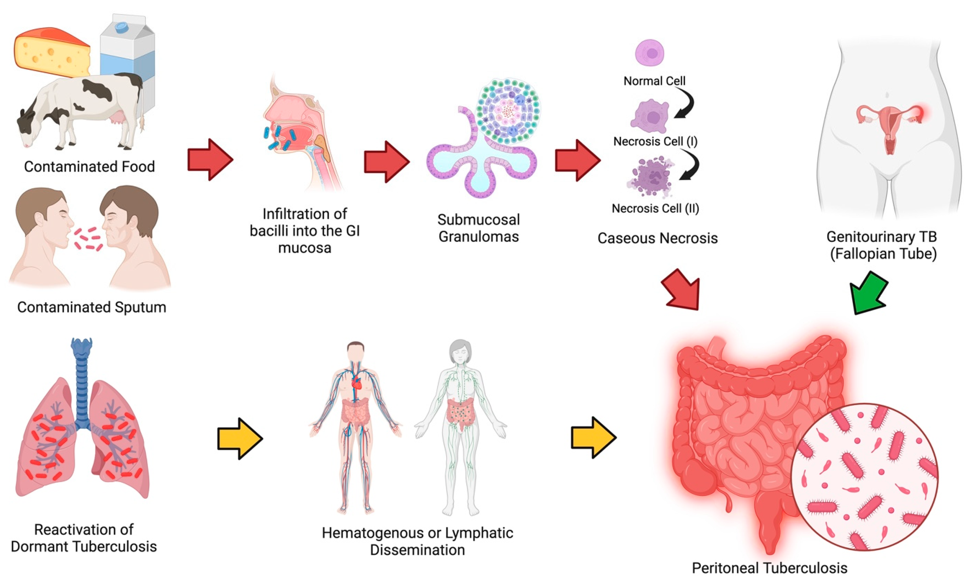 Diagnostics 15 02008 g001