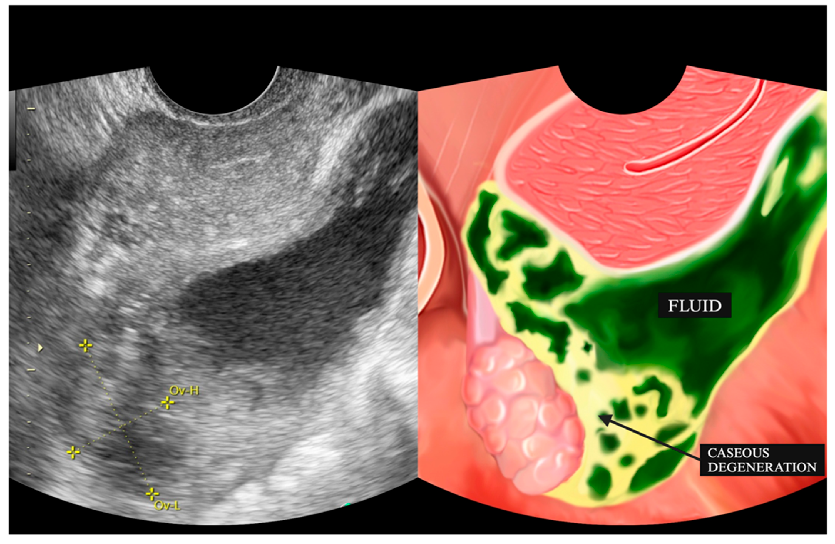 Diagnostics 15 02008 g002
