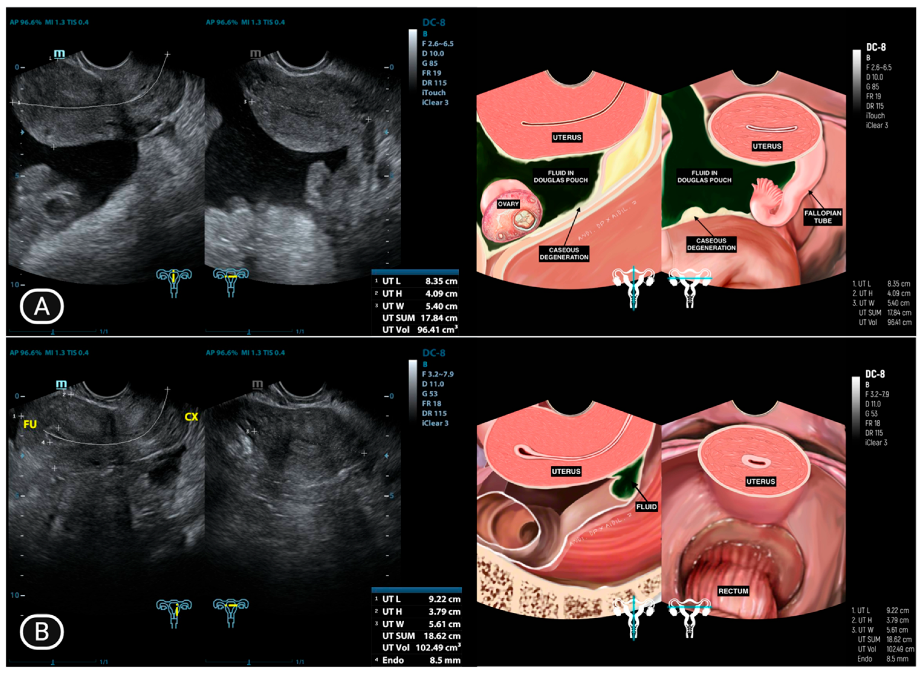 Diagnostics 15 02008 g004