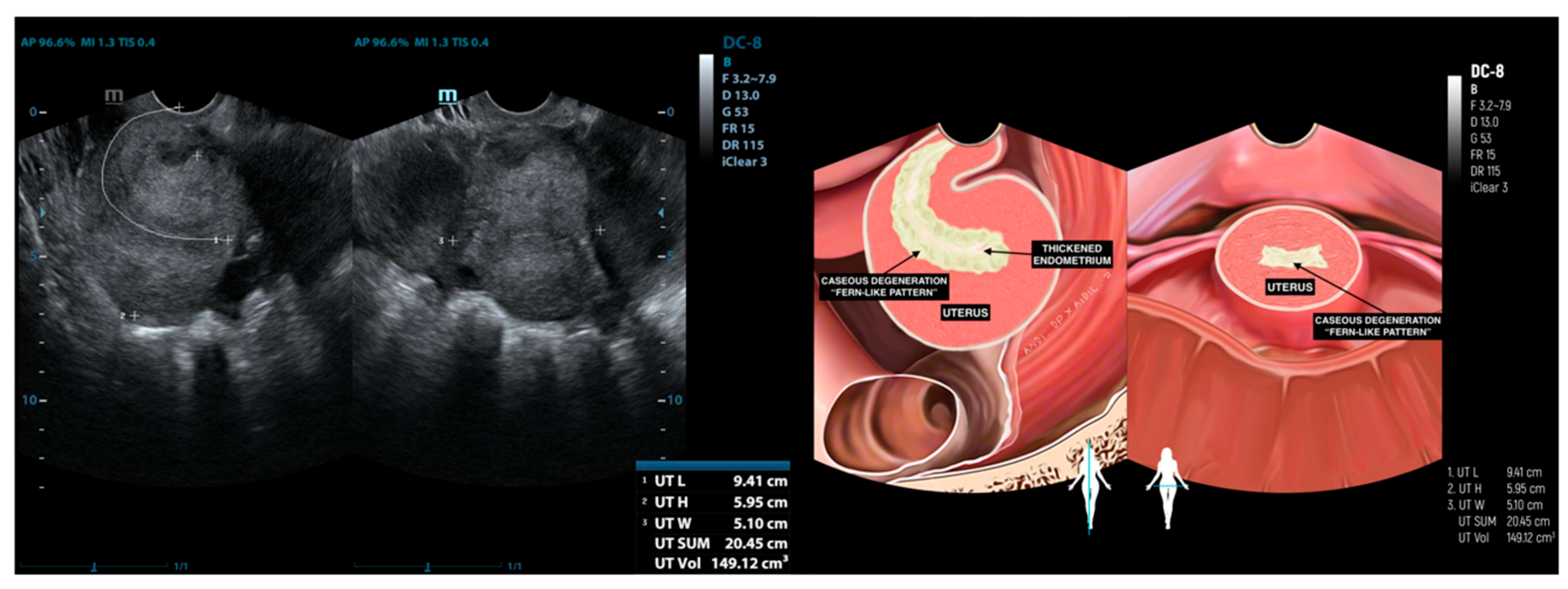 Diagnostics 15 02008 g007