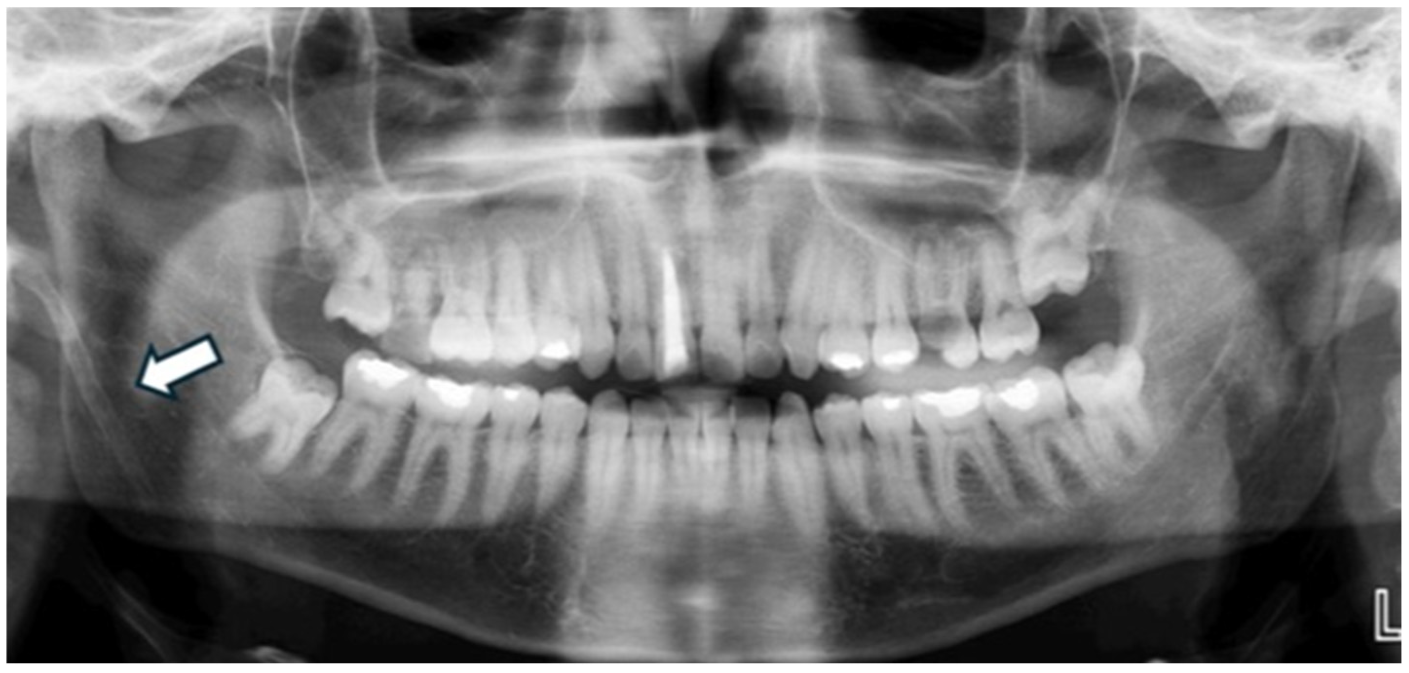Diagnostics 15 02013 g002