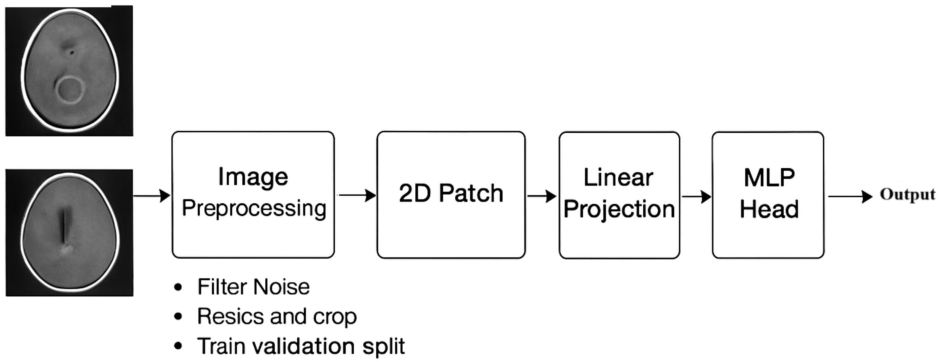 Diagnostics 15 02014 g003