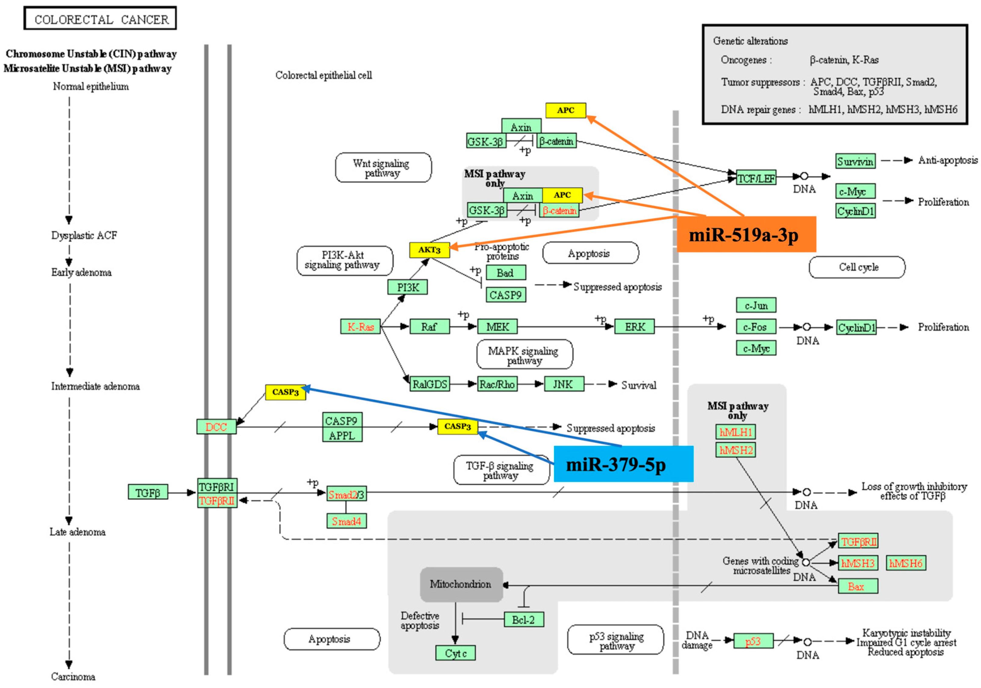 Diagnostics 15 02023 g002 Diagnostics 15 02023 g002