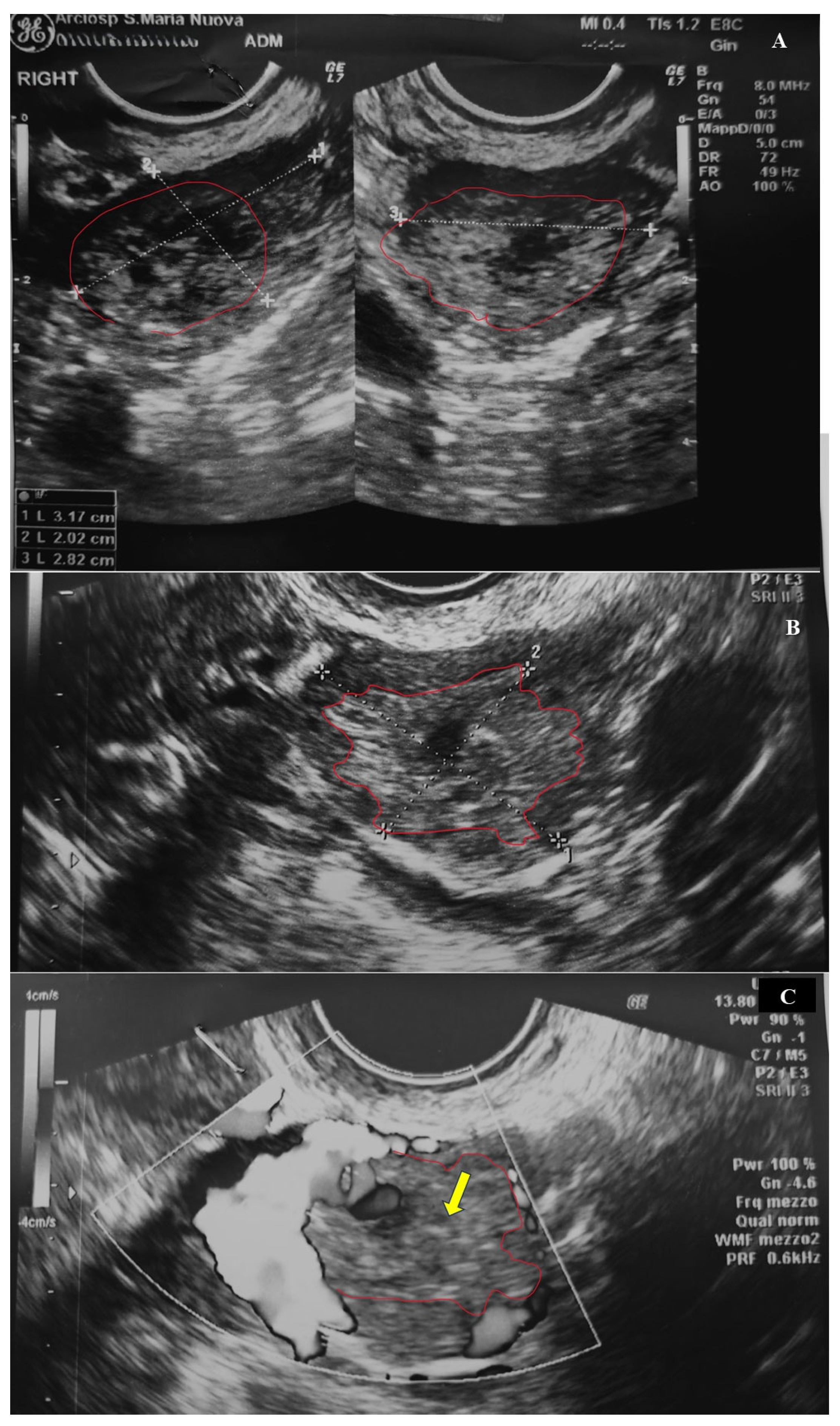 Diagnostics 15 02024 g001 Diagnostics 15 02024 g001