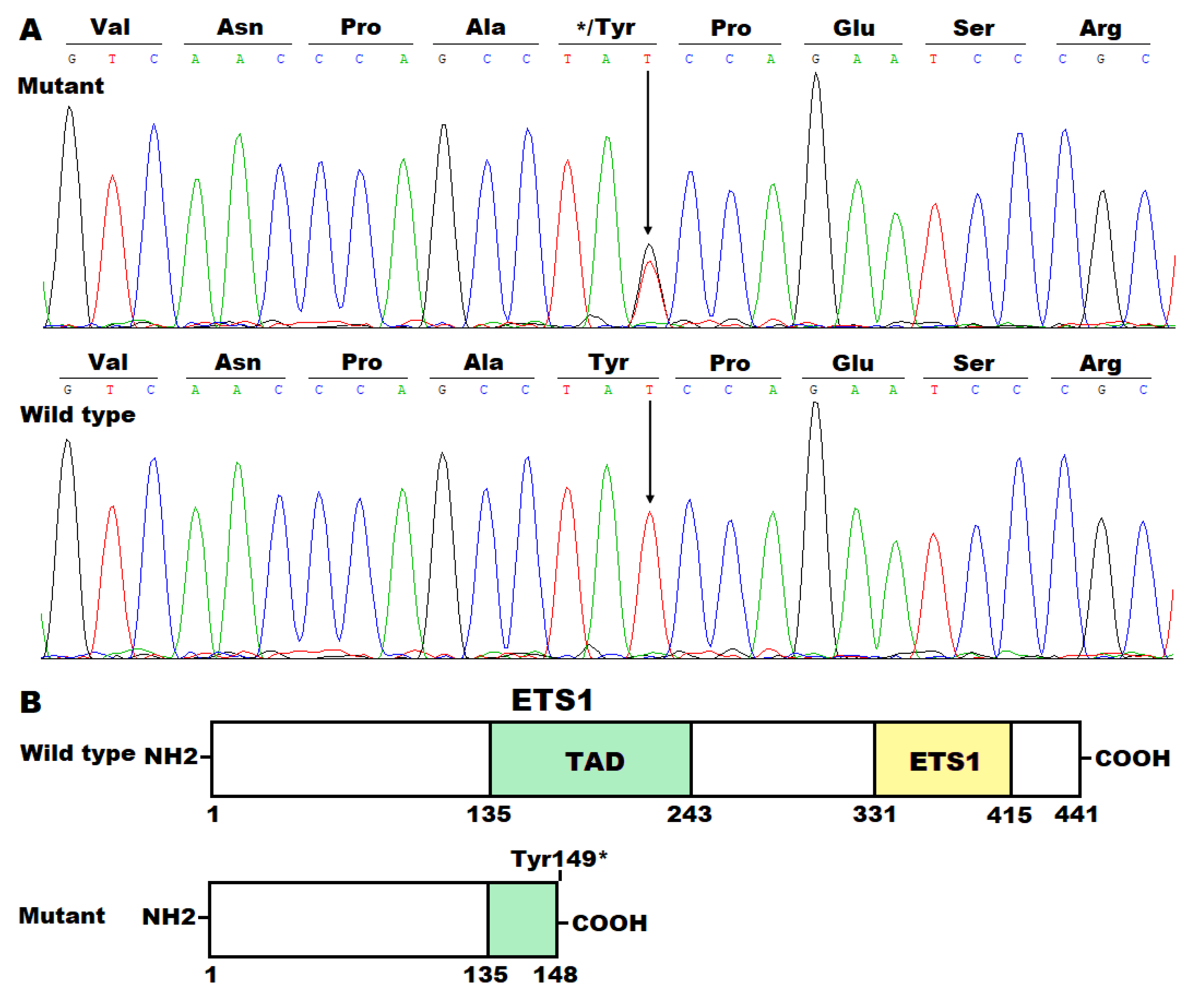 Diagnostics 15 02031 g002 Diagnostics 15 02031 g002