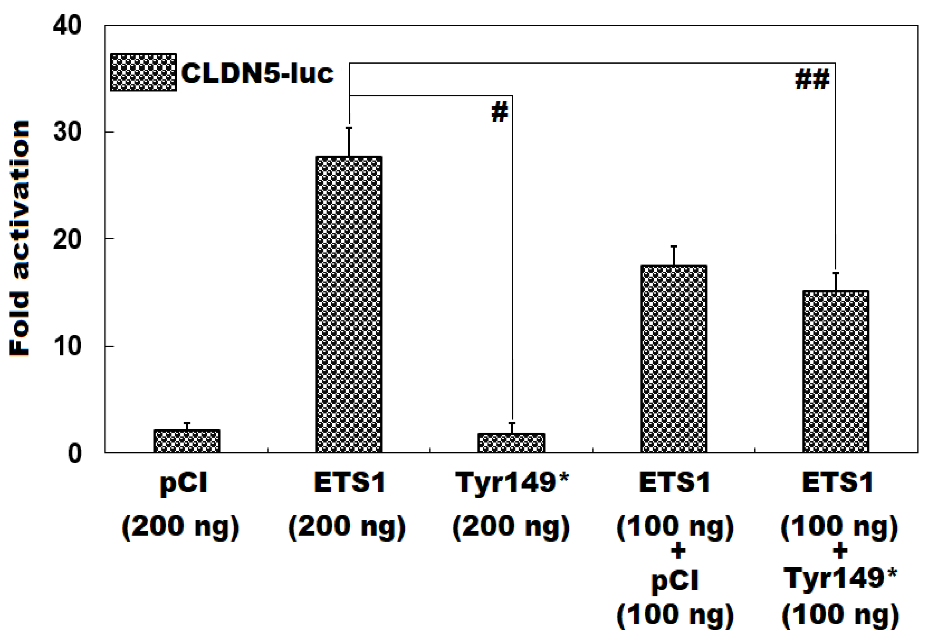 Diagnostics 15 02031 g003 Diagnostics 15 02031 g003