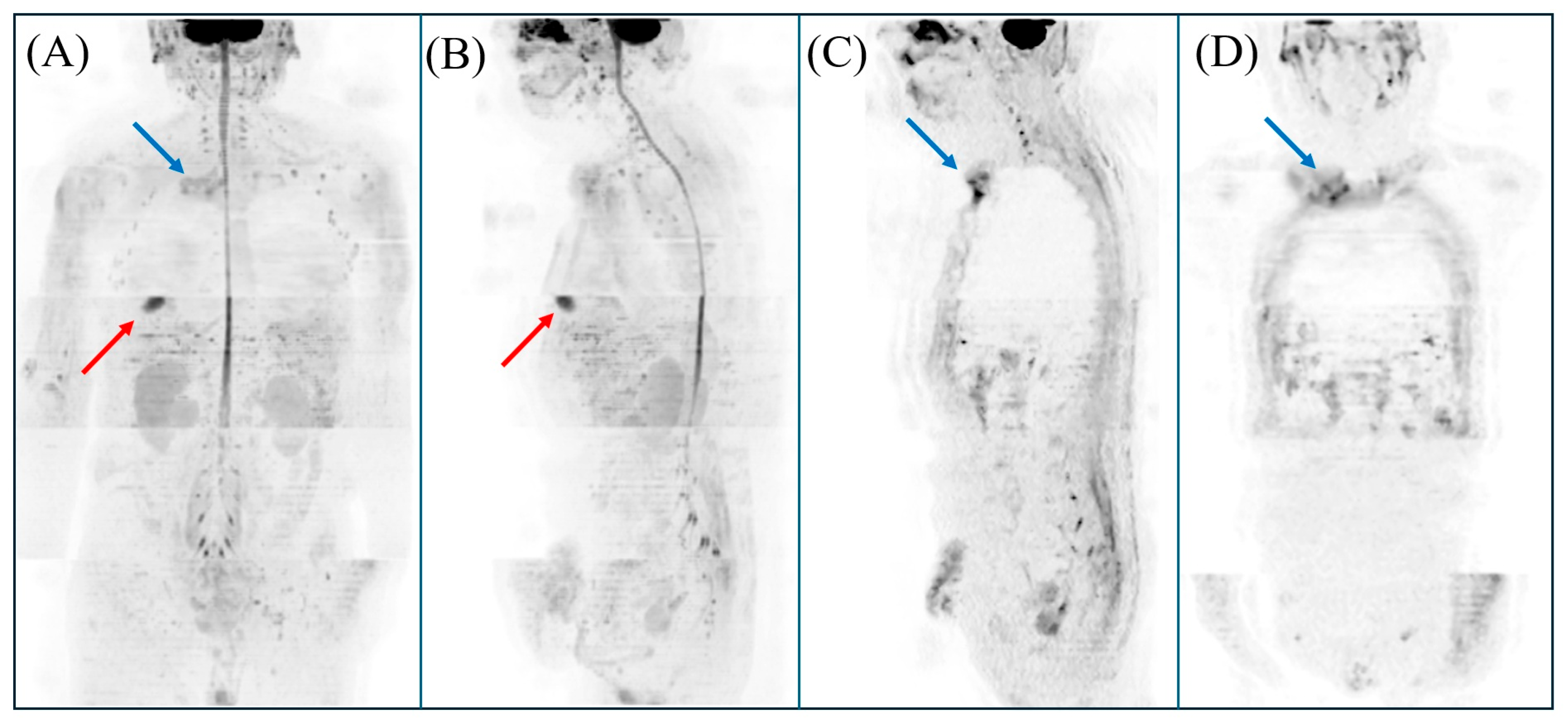 Diagnostics 15 02032 g001 Diagnostics 15 02032 g001