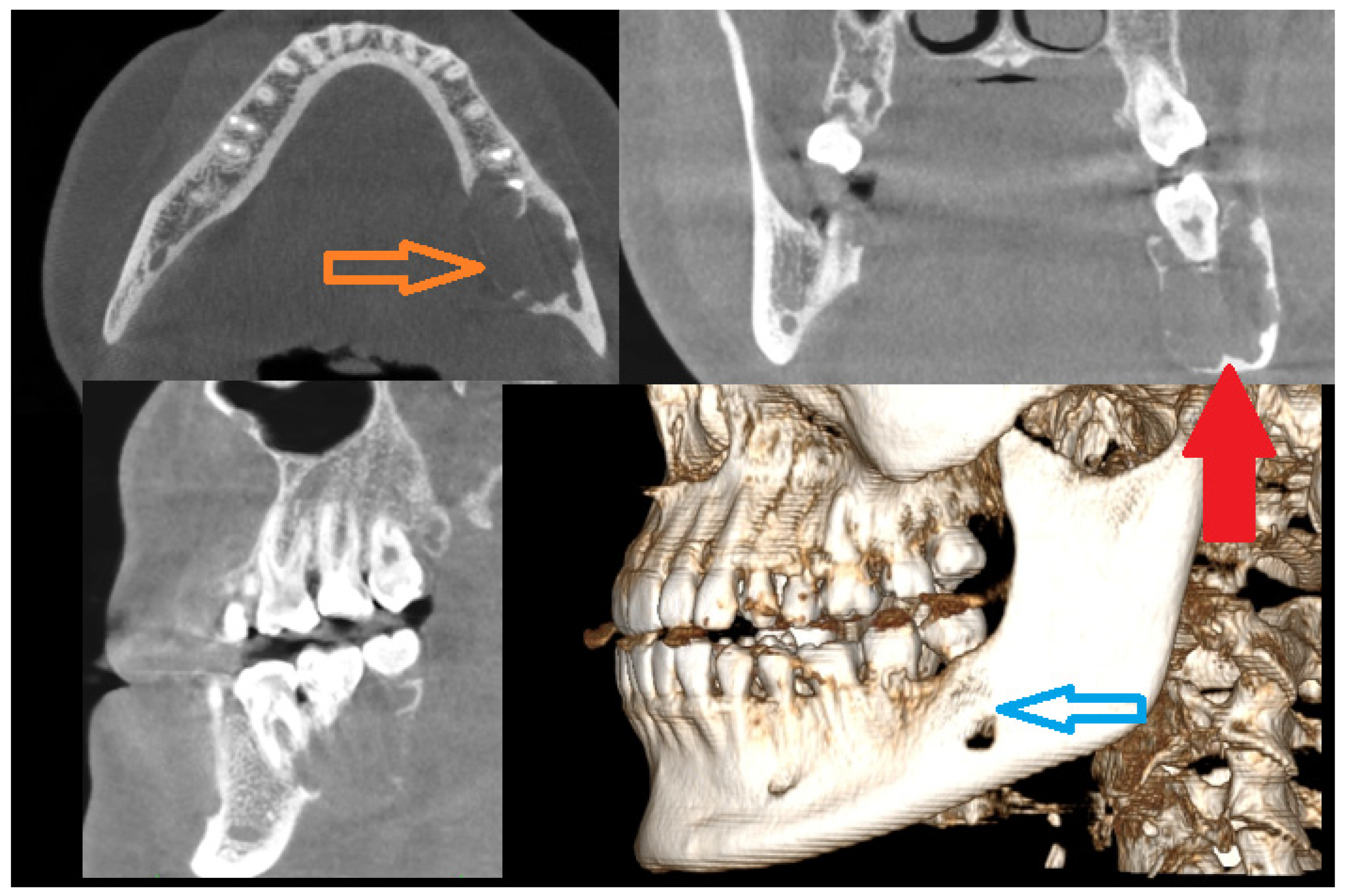 Diagnostics 15 02038 g001