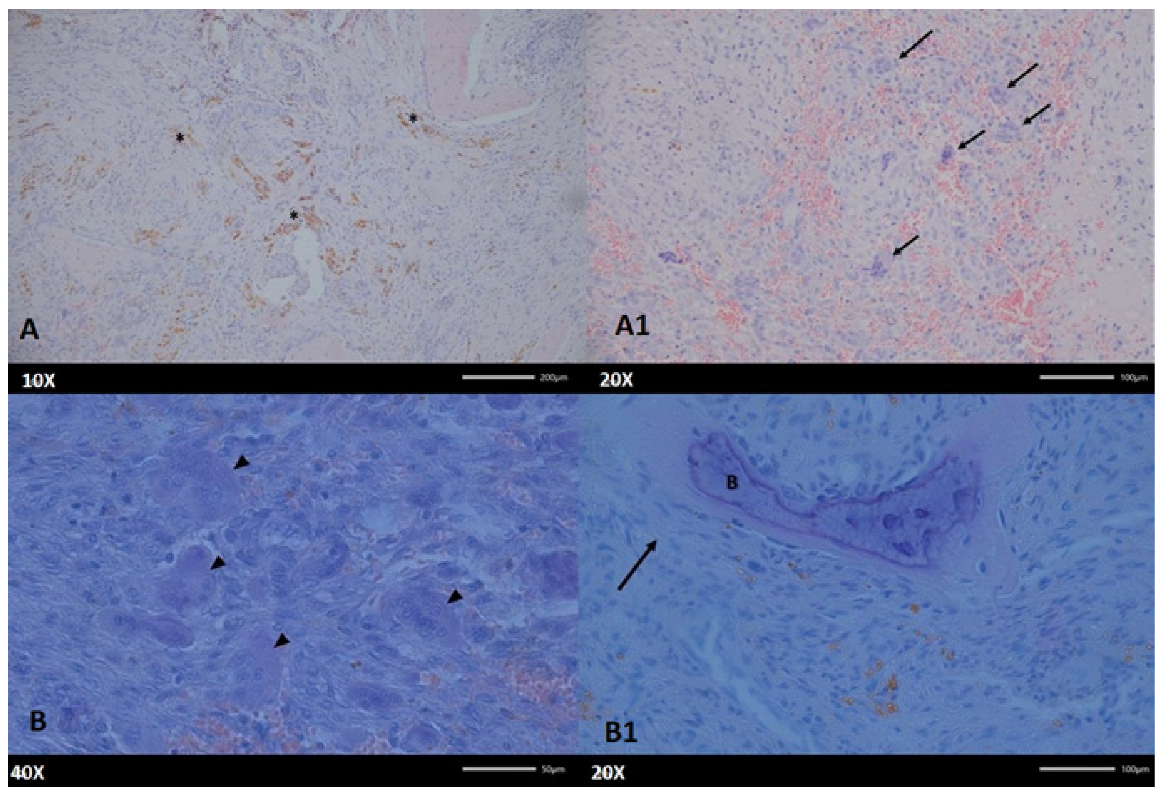 Diagnostics 15 02038 g005