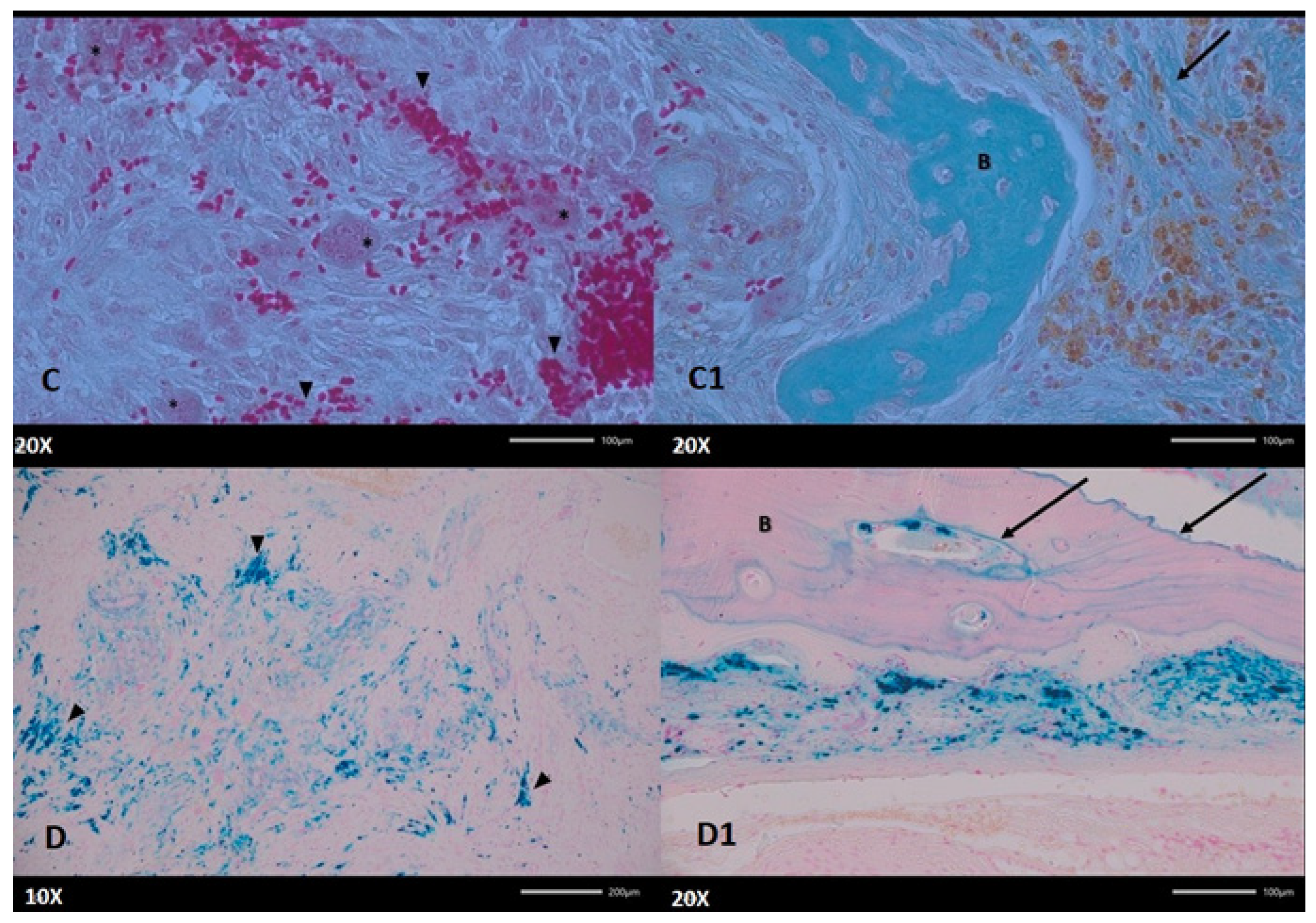 Diagnostics 15 02038 g006
