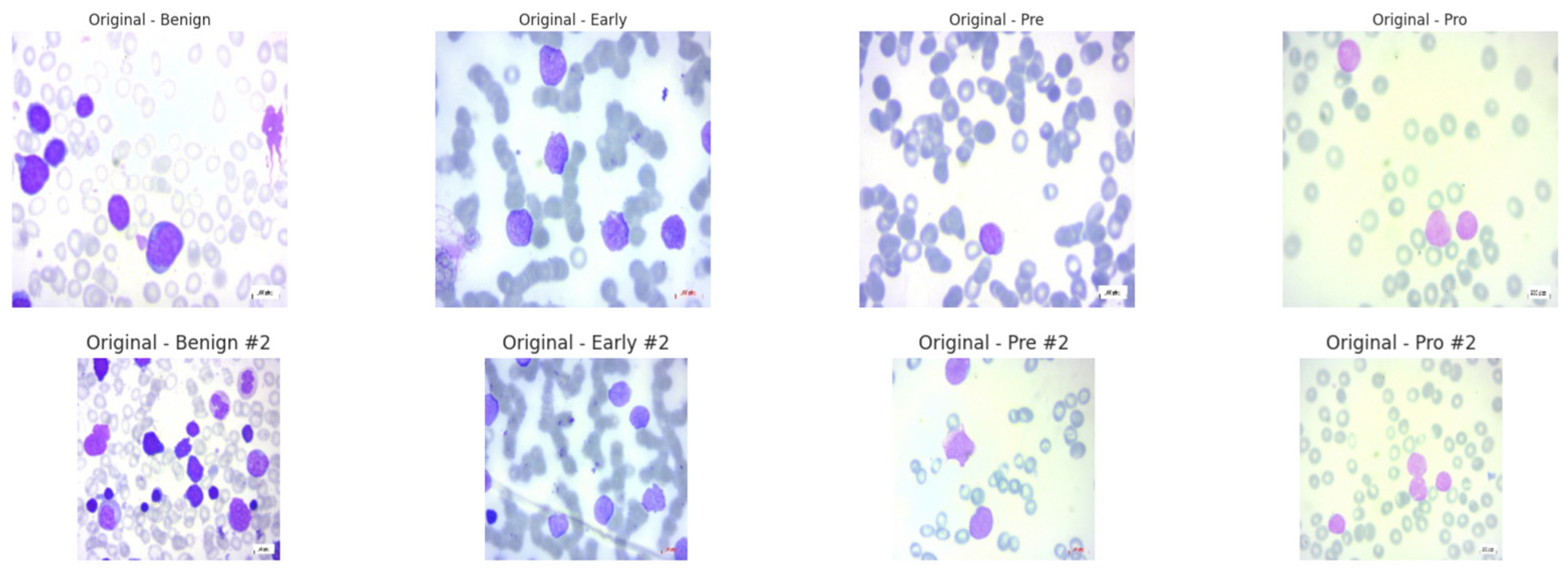 Diagnostics 15 02040 g002