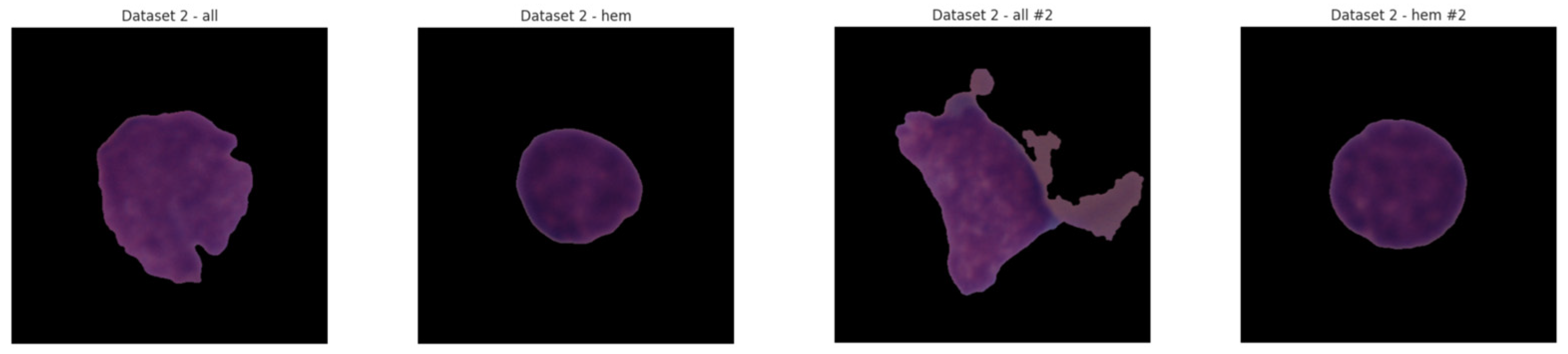 Diagnostics 15 02040 g004